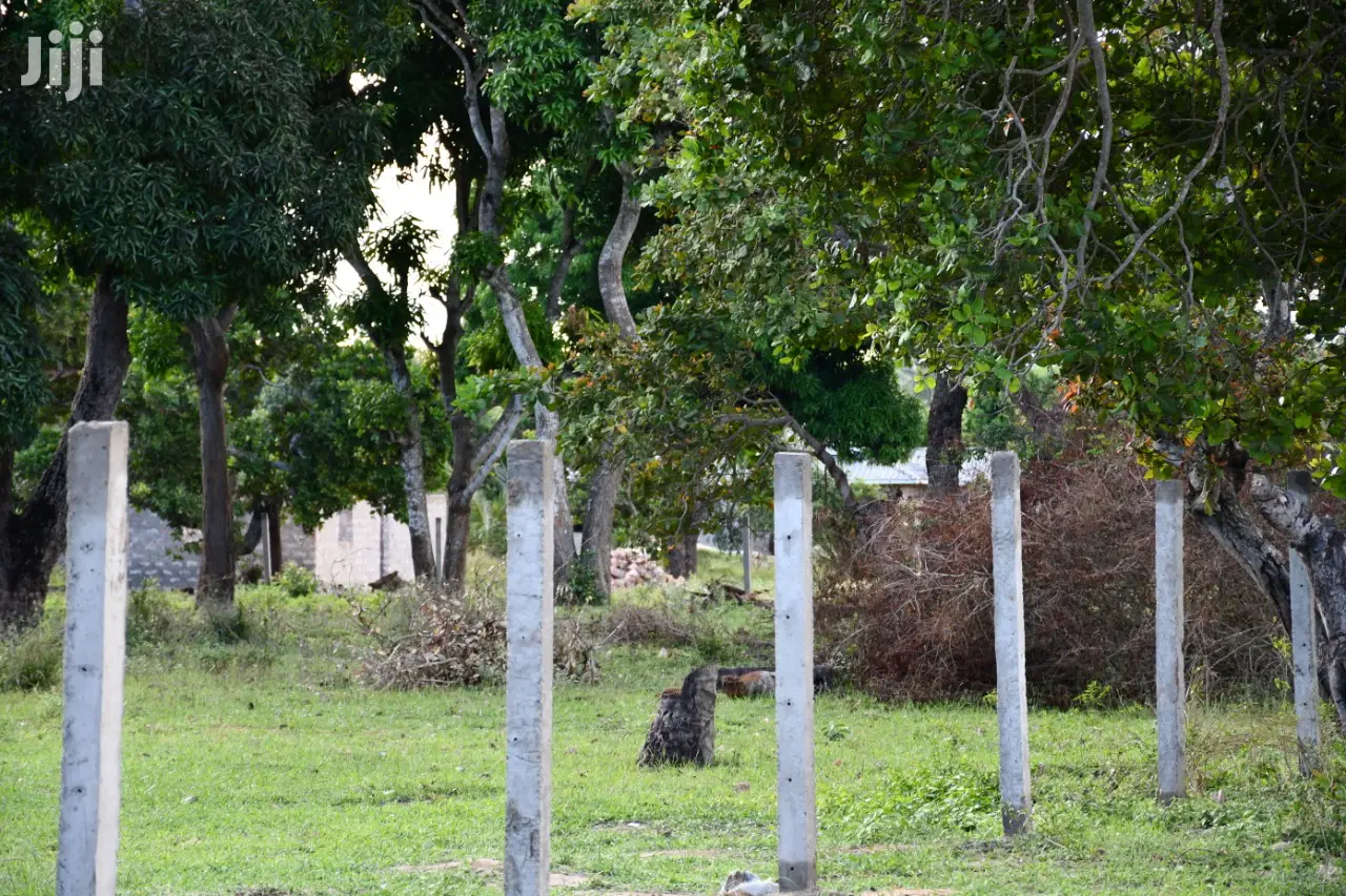 Tezo Kilifi Coast Land: 350/- K, Secure Your Dream Property Today in Tezo