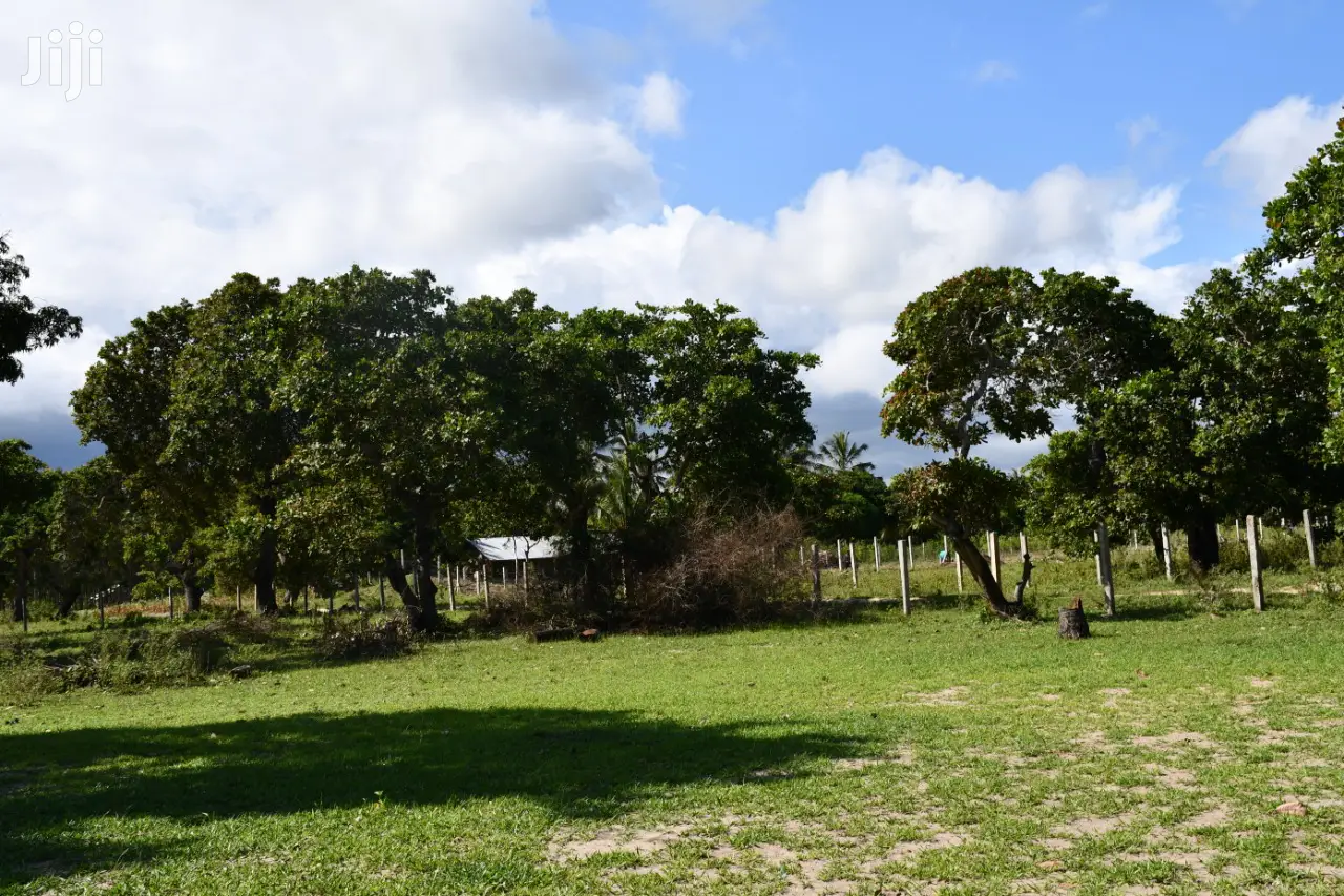 Tezo Kilifi Coast Land: 350/- K, Secure Your Dream Property Today in Tezo