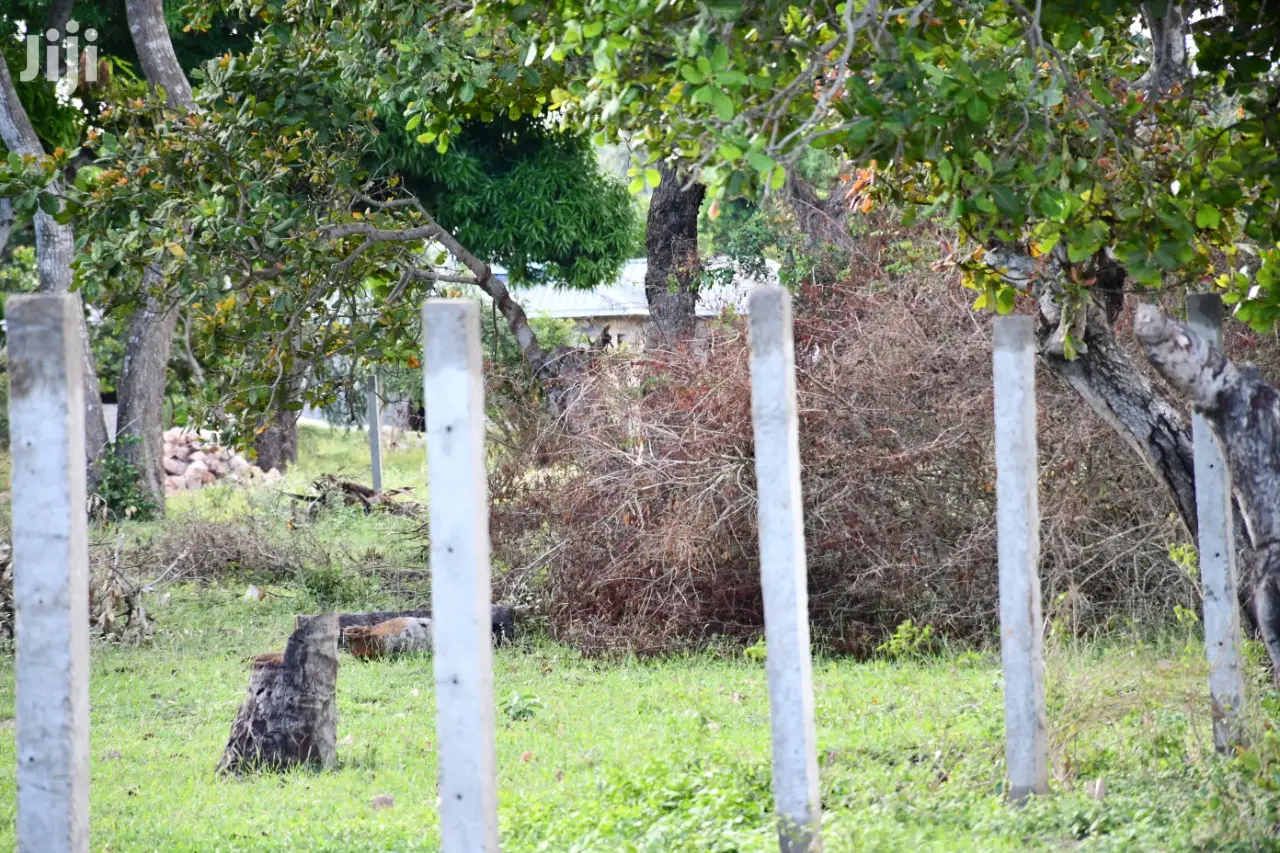 Tezo Kilifi Coast Land: 350/- K, Secure Your Dream Property Today in Tezo