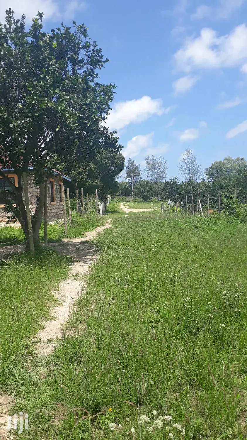 Quater Acre Plots in Mtepeni, Mtwapa - Seize the Opportunity Today! in Mtepeni