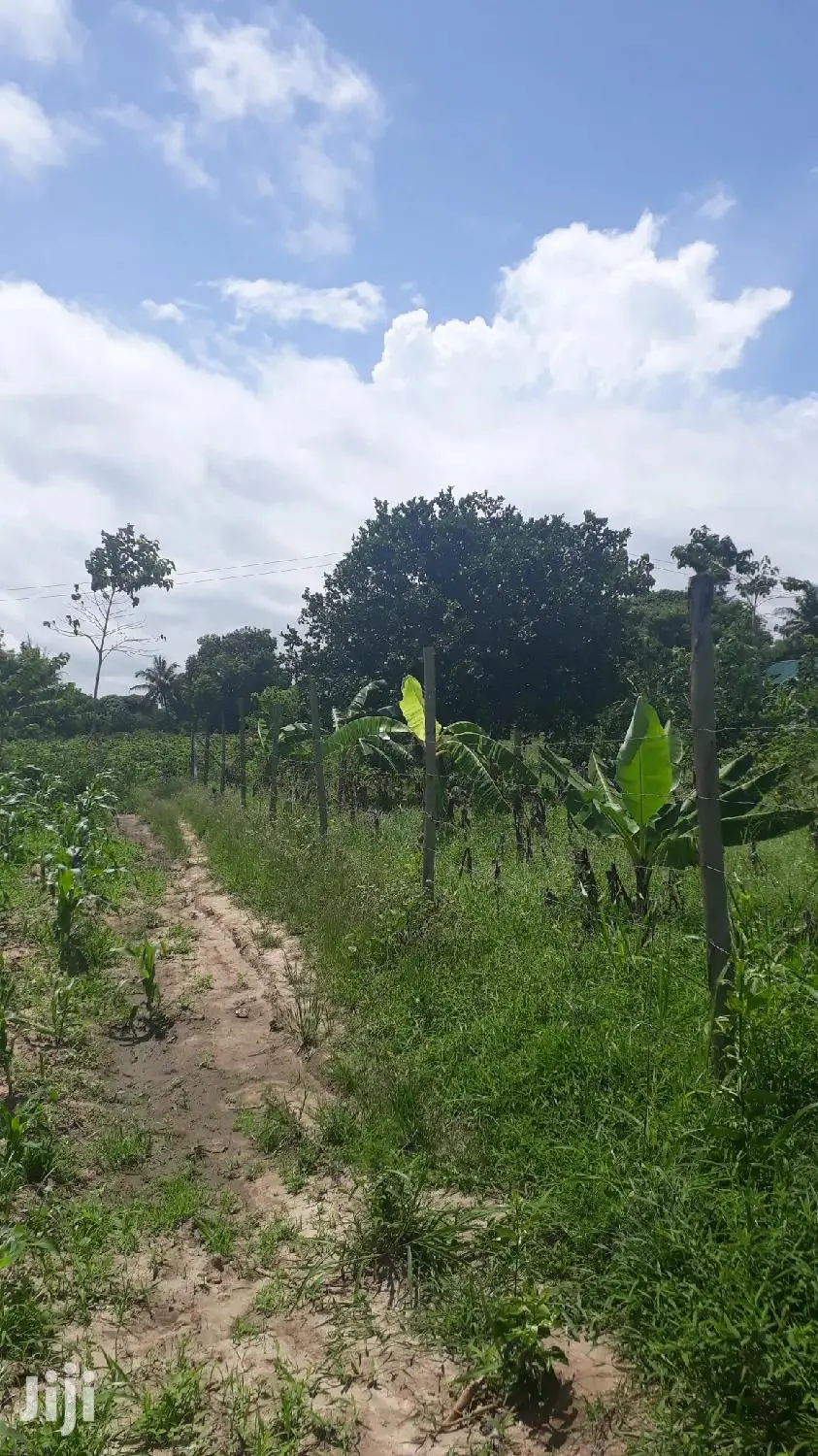 Quater Acre Plots in Mtepeni, Mtwapa - Seize the Opportunity Today! in Mtepeni