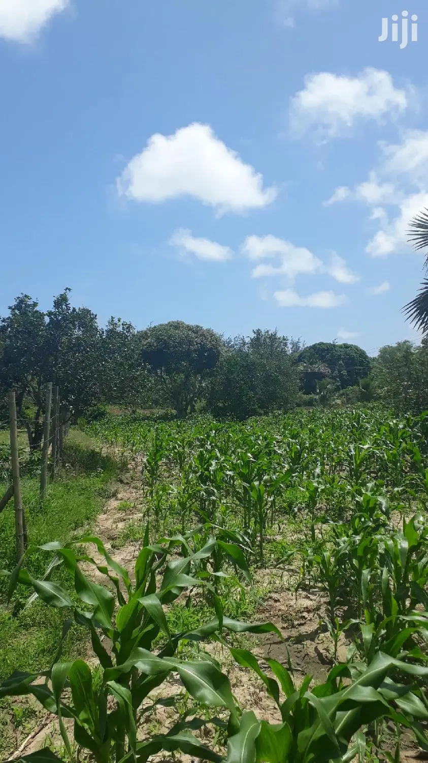 Quater Acre Plots in Mtepeni, Mtwapa - Seize the Opportunity Today! in Mtepeni