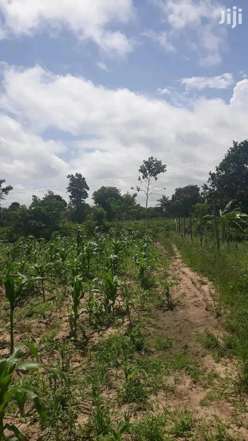 Quater Acre Plots in Mtepeni, Mtwapa - Seize the Opportunity Today! in Mtepeni