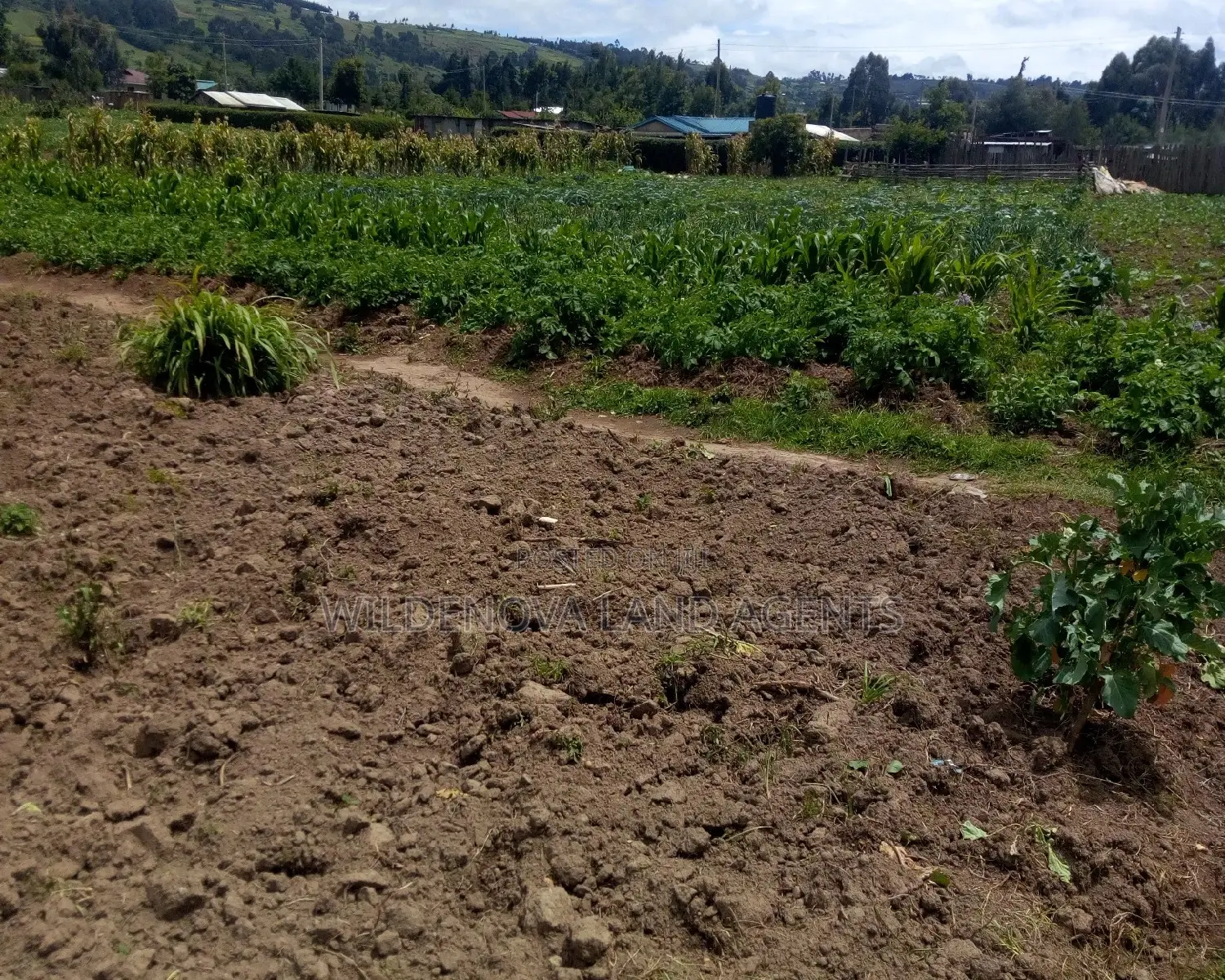 Plot Purchase Opportunity in Ihindu Naivasha in Naivasha