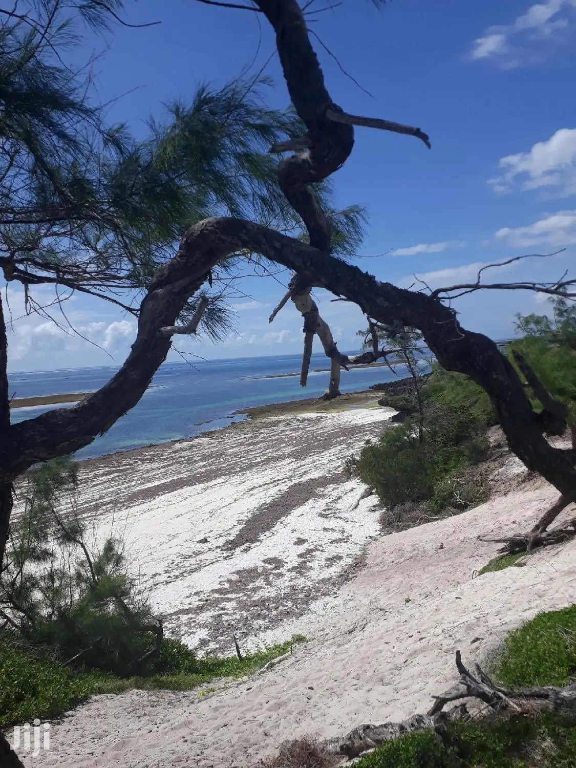 4.5 Acre Beachfront Property in Malindi - For Sale in Watamu