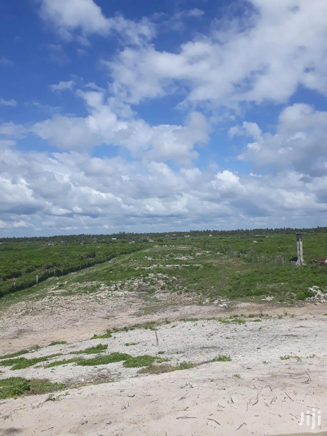 4.5 Acre Beachfront Property in Malindi - For Sale in Watamu