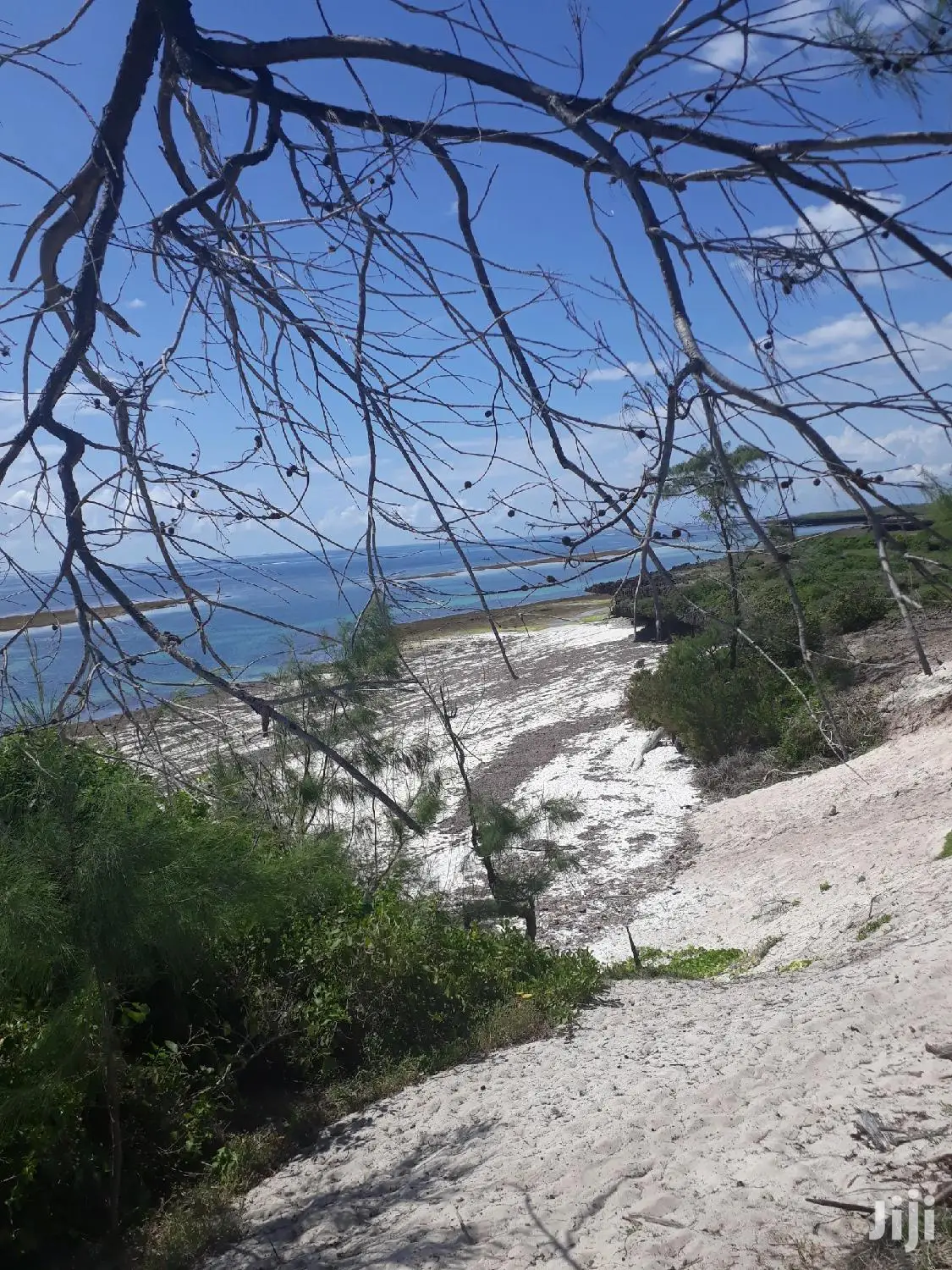 4.5 Acre Beachfront Property in Malindi - For Sale in Watamu