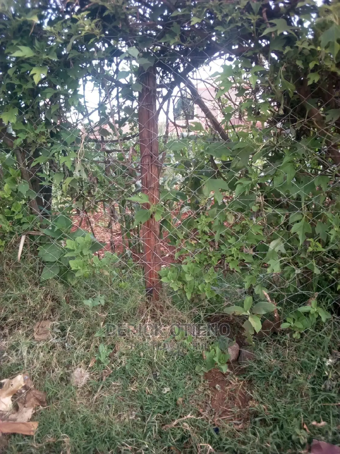 Land for Sale: Nyakinywa Road, Riruta - Limited Time Offer in Riruta