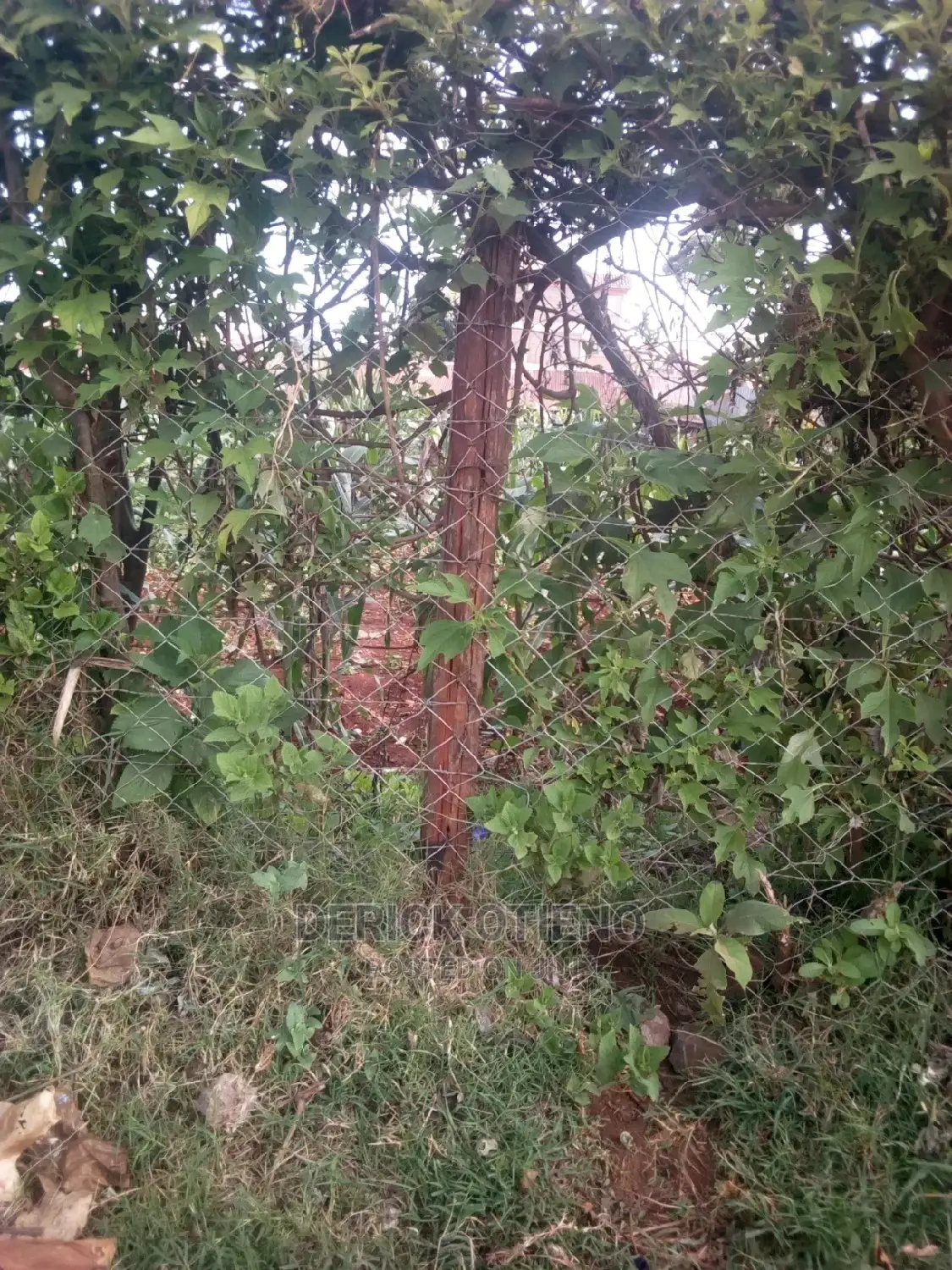 Land for Sale: Nyakinywa Road, Riruta - Limited Time Offer in Riruta
