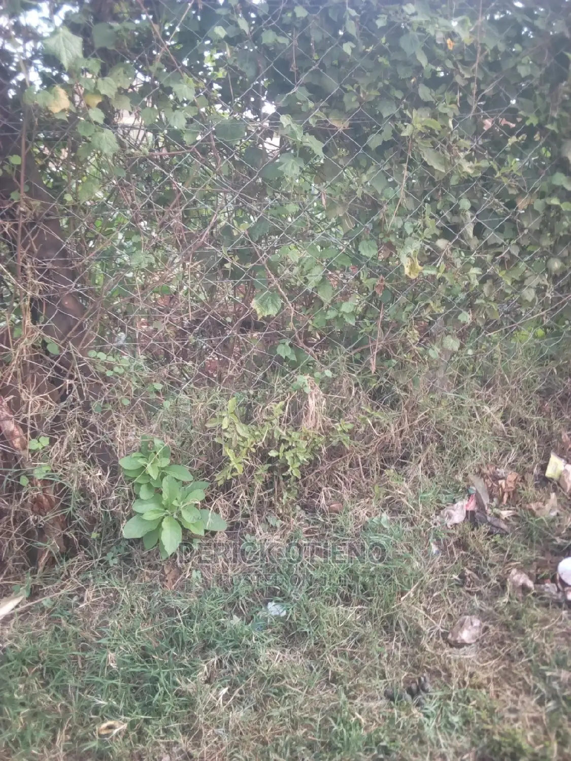 Land for Sale: Nyakinywa Road, Riruta - Limited Time Offer in Riruta
