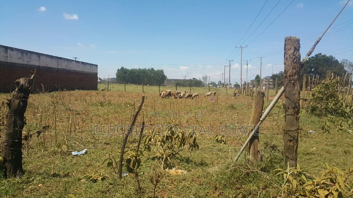 Spacious 1/4 Plot in Prime Stabex Area with Title Deed Available in Eldoret CBD
