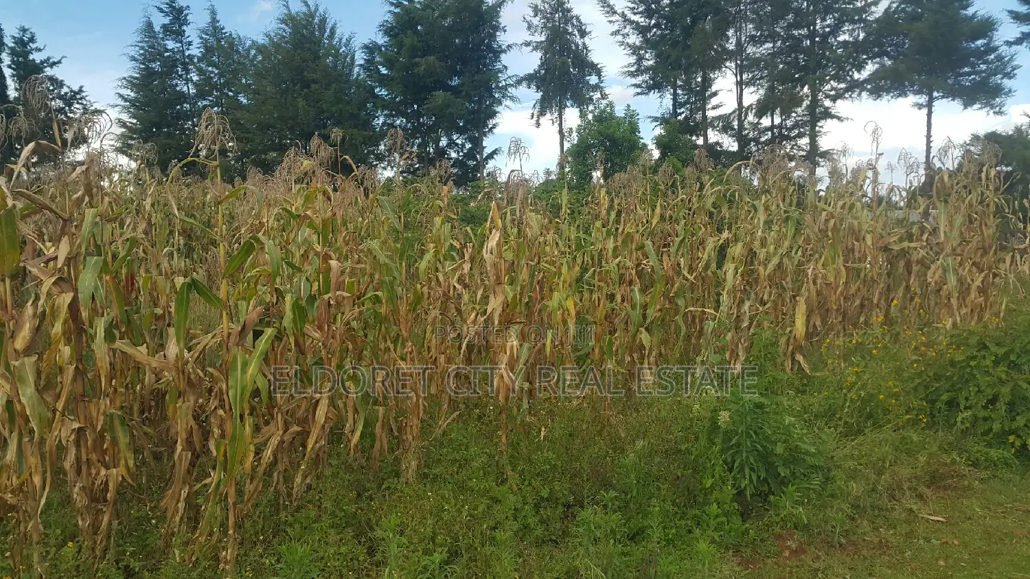 Kuinet 300m Tarmac Access - Quality 1/4 Plot in Eldoret CBD