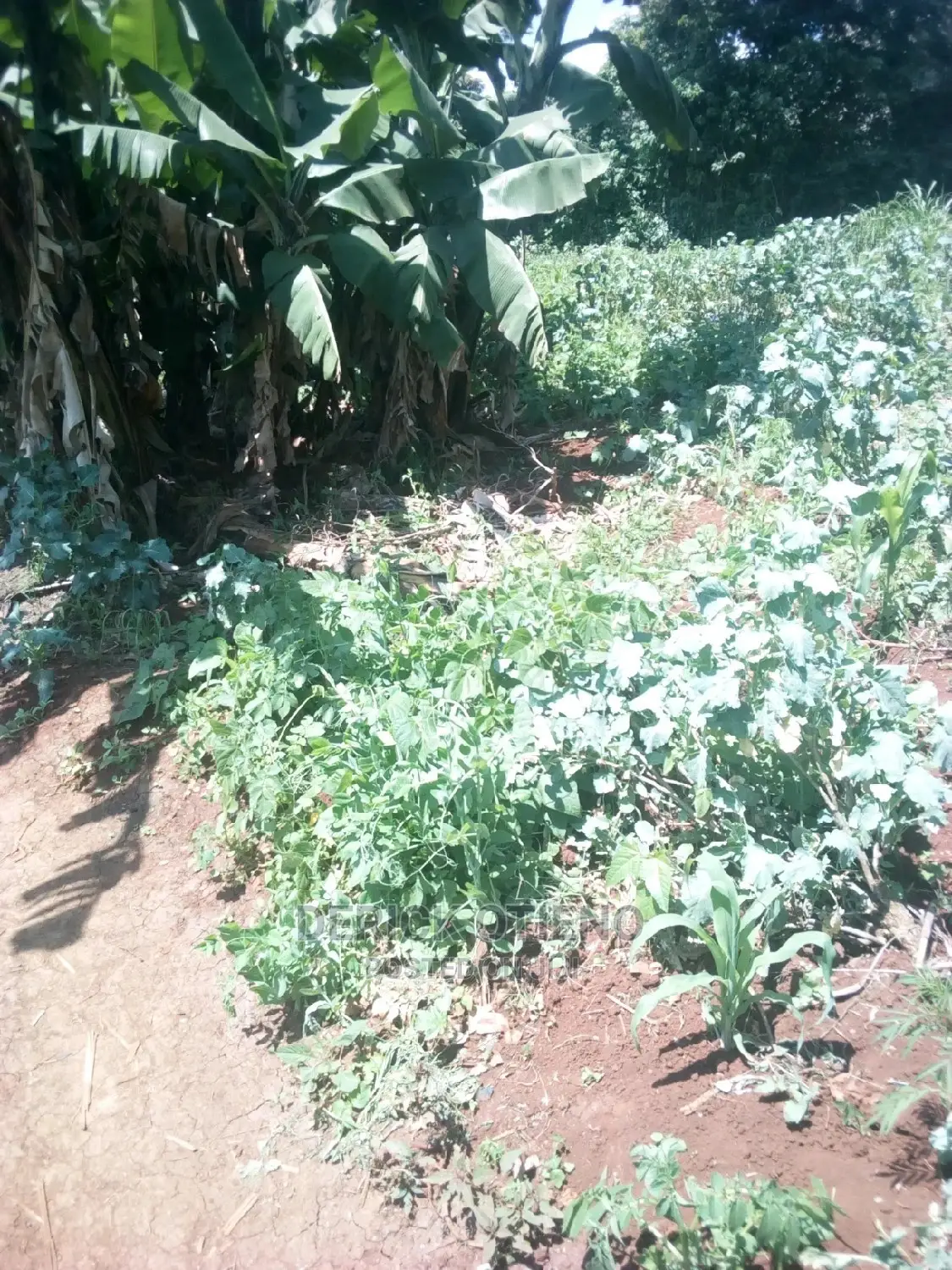 Invest in Land on Kabiria Kahuho Road - Limited Time Offer in Riruta