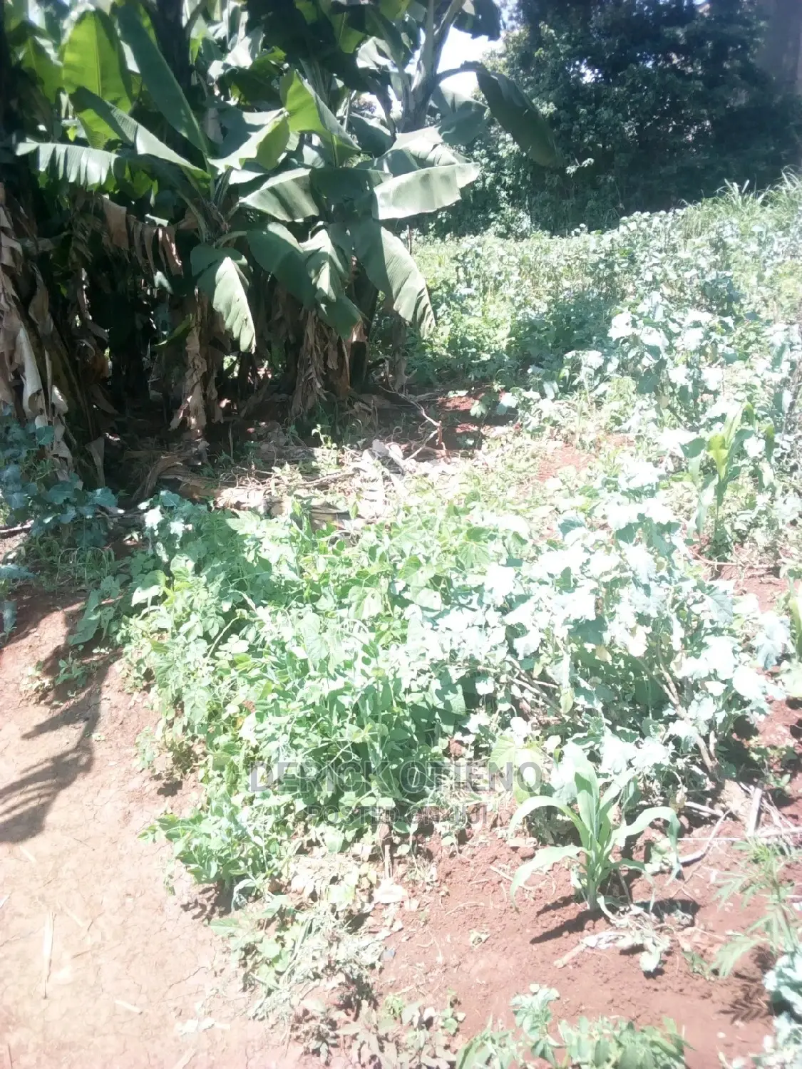 Invest in Land on Kabiria Kahuho Road - Limited Time Offer in Riruta
