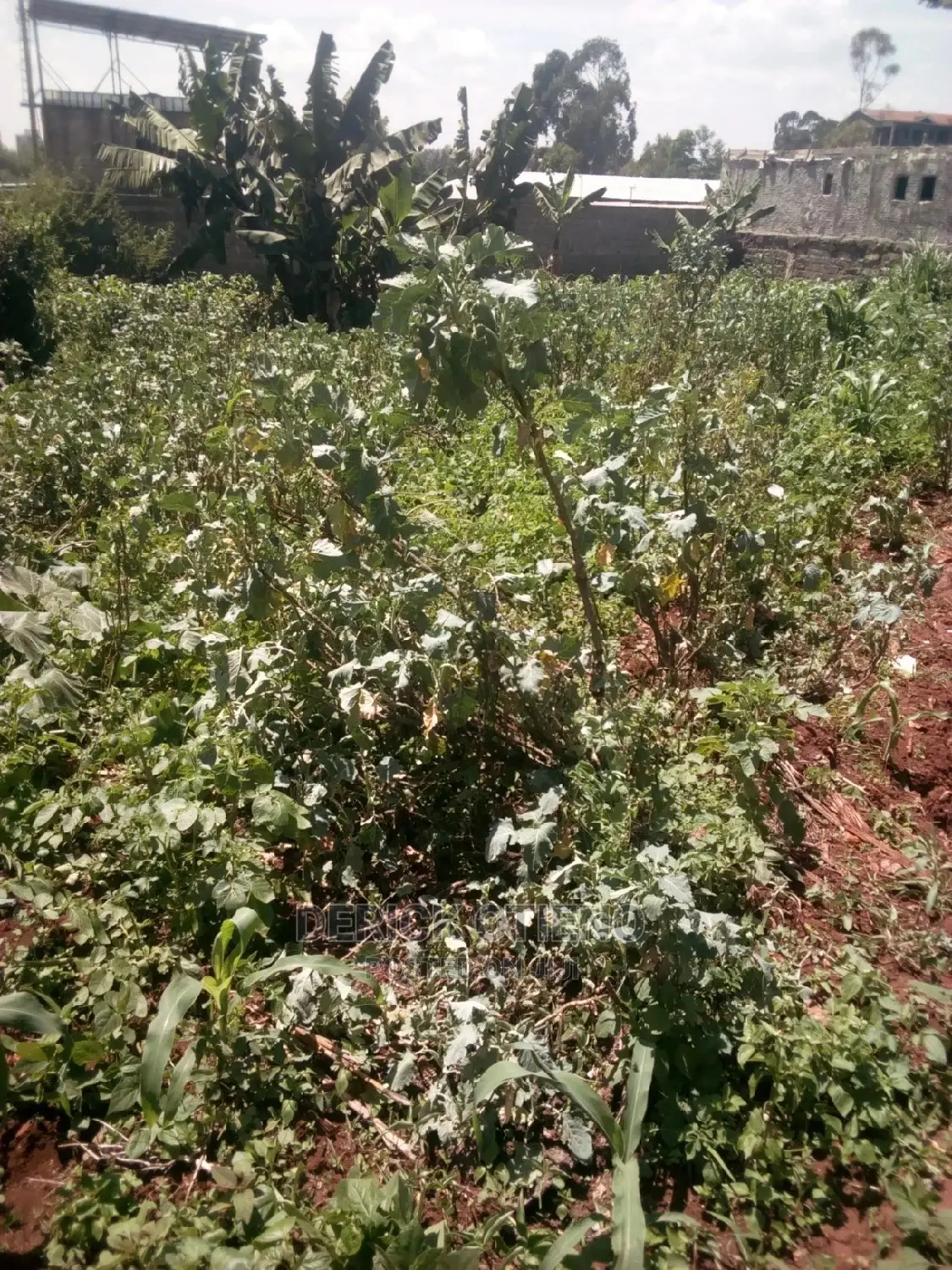 Invest in Land on Kabiria Kahuho Road - Limited Time Offer in Riruta