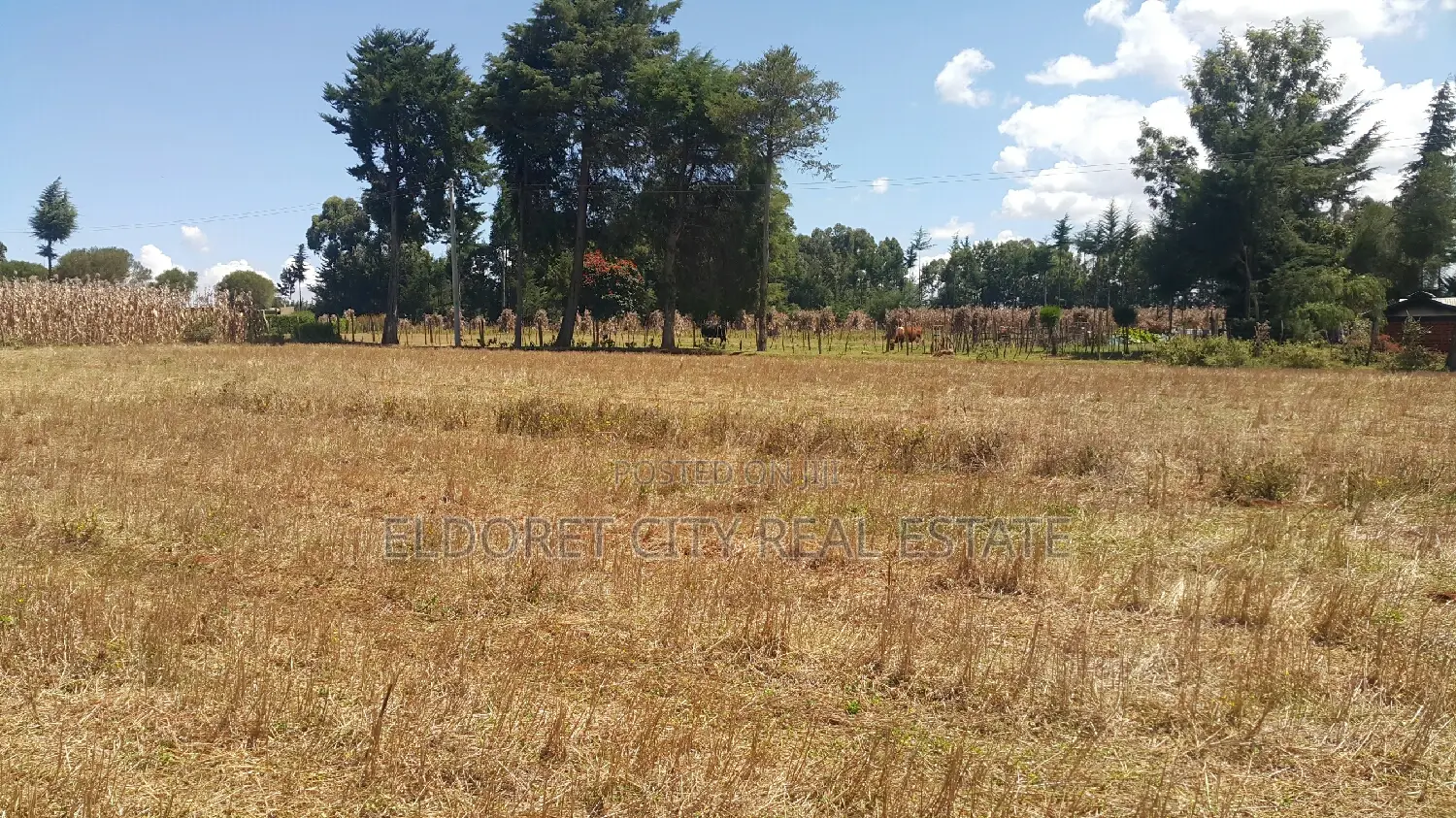 Quality 1/4 Plots in Ilula Close to Tarmac - Seize the Opportunity Today in Eldoret CBD