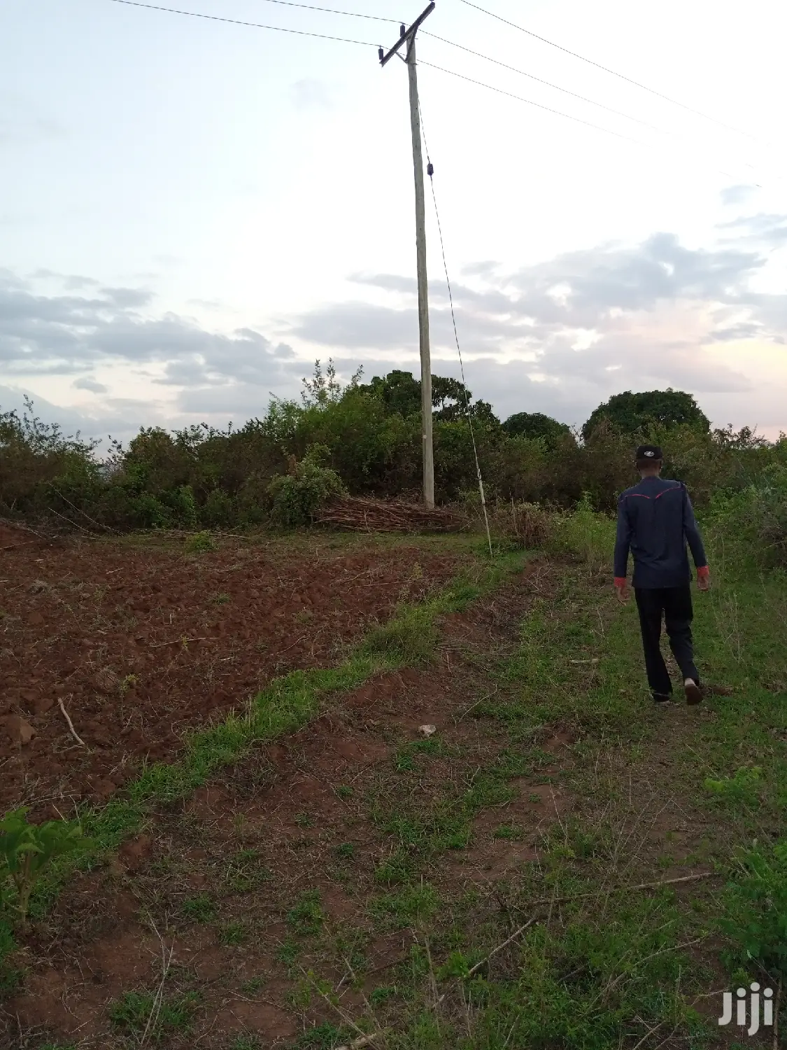 3-Acre Land in Masii Mbaani: Prime Location for Agriculture or Real Estate in Masii