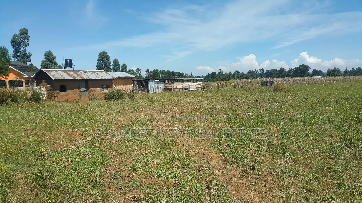 Idyllic One-Acre Residential Ilula Land - Ready for Development in Eldoret CBD