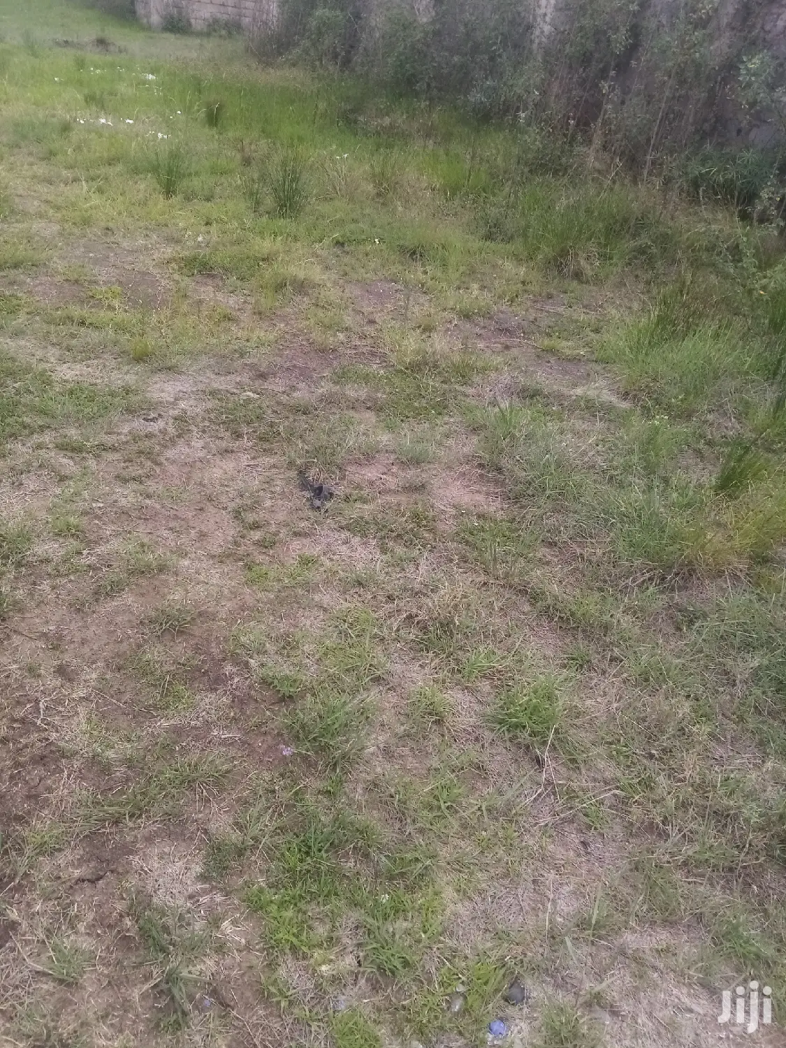 Prime 1/4 Acre Land for Sale - Kahawa Sukari in Kahawa