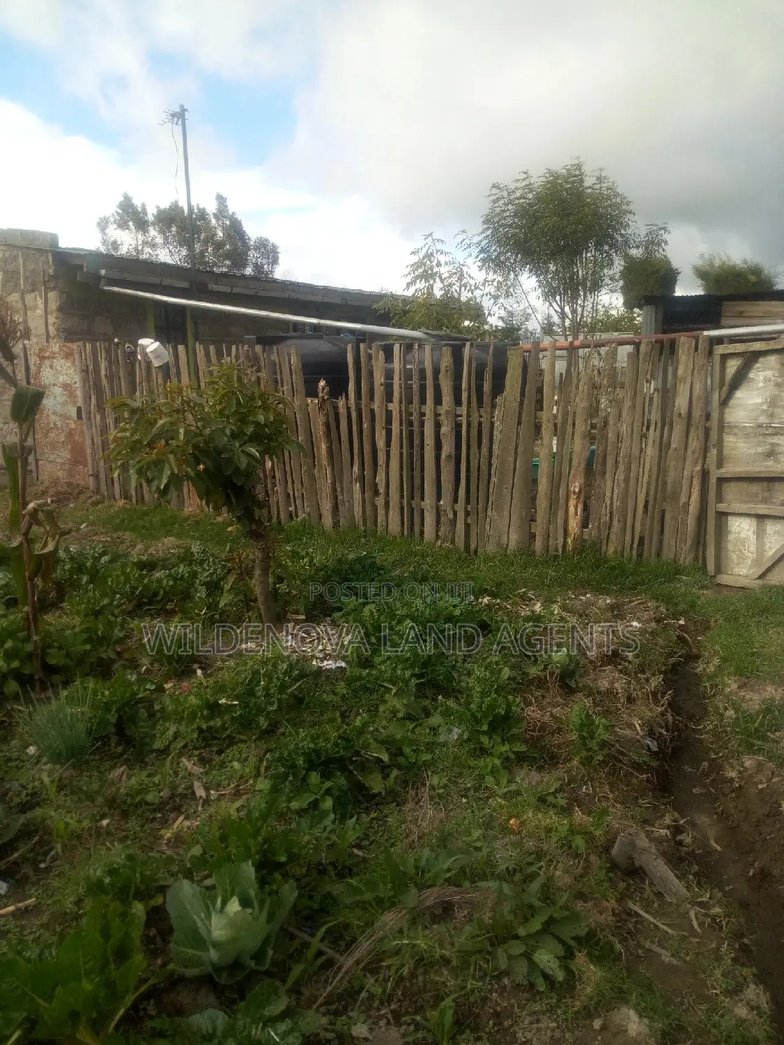 Invest in Kinangop Flyover's 1/8 Acre Plot - Secure Your Future in Magumu