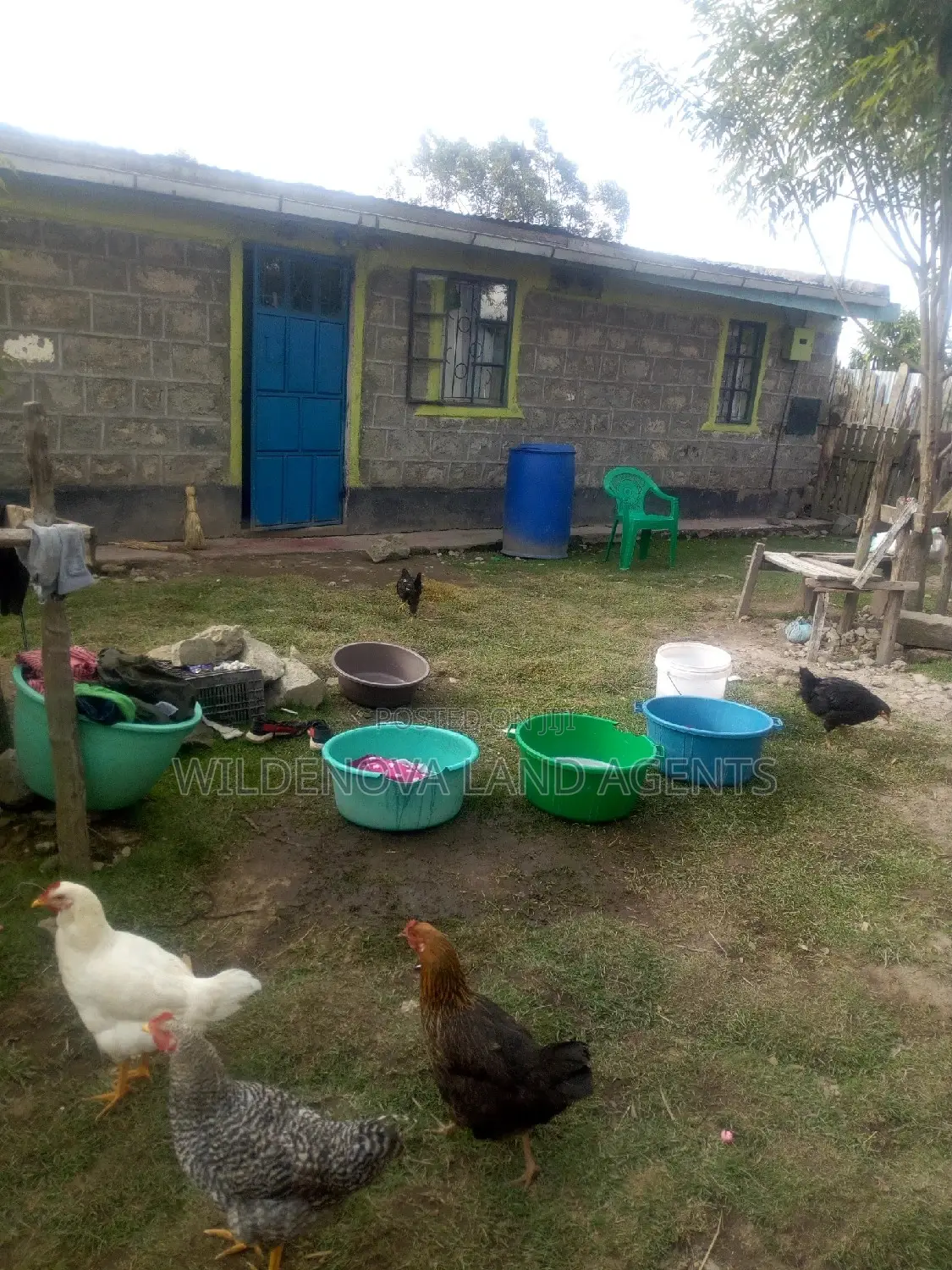 Invest in Kinangop Flyover's 1/8 Acre Plot - Secure Your Future in Magumu