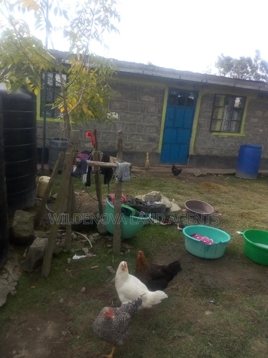 Invest in Kinangop Flyover's 1/8 Acre Plot - Secure Your Future in Magumu
