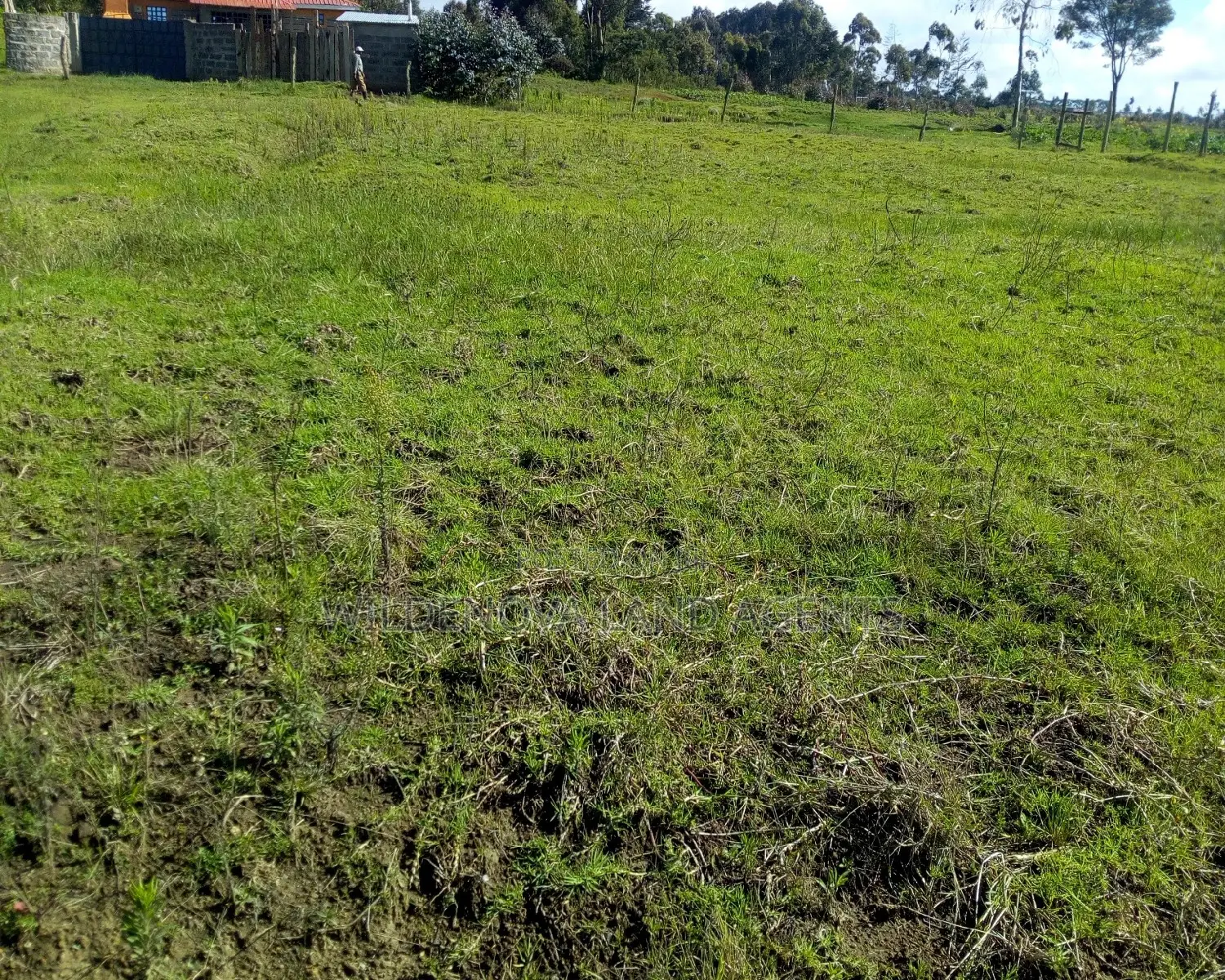 Invest in a 100*100 Plot in Magumu Kinangop - Ideal for Future Property Development in Magumu