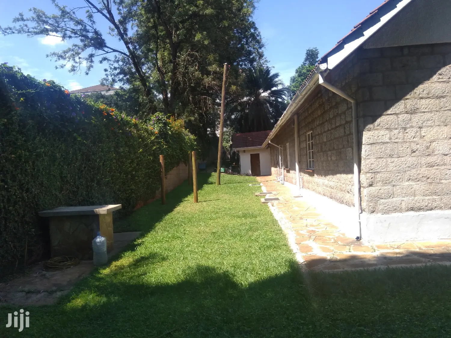 Spacious 11-Bedroom Bungalow & 2 Dsqs for Rent - Ideal for Large Families in Lavington