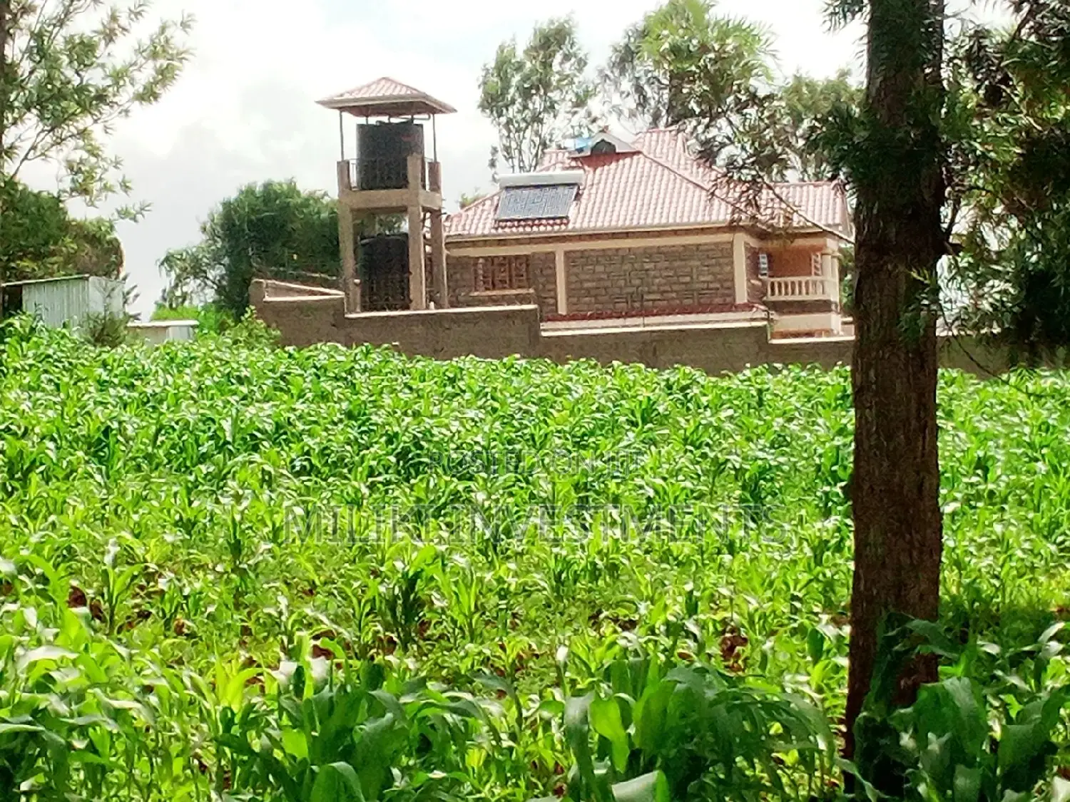 Prime 40 by 80 Ft Plot for Sale in Githanji/Kandara Investment in Nginda