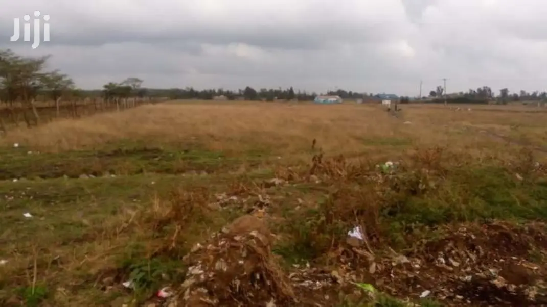 Buy Juja Gachororo Commercial Plots: 50 by 100 Sizes Available in Juja