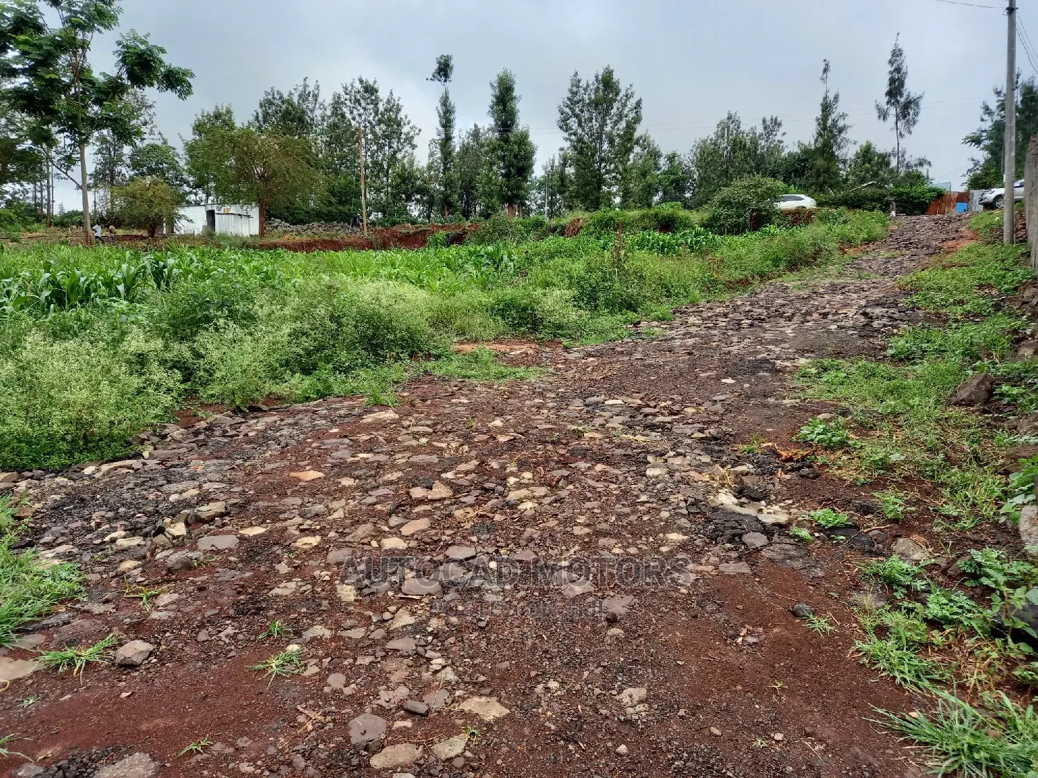 Spacious Residential Plot in Mugumo - Prime Location! in Nairobi Central