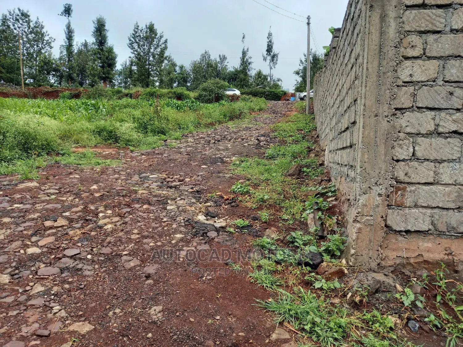 Spacious Residential Plot in Mugumo - Prime Location! in Nairobi Central