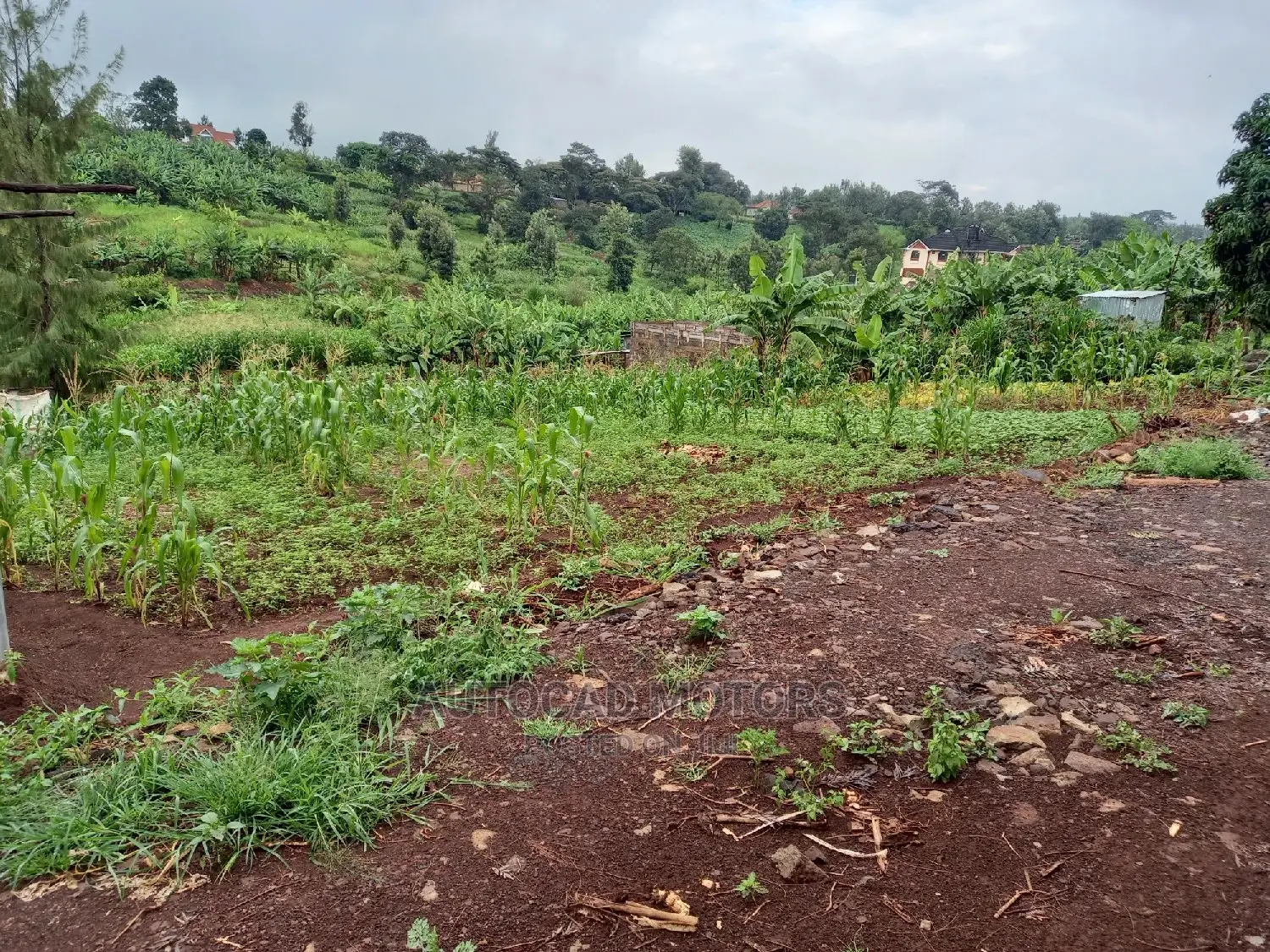 Spacious Residential Plot in Mugumo - Prime Location! in Nairobi Central