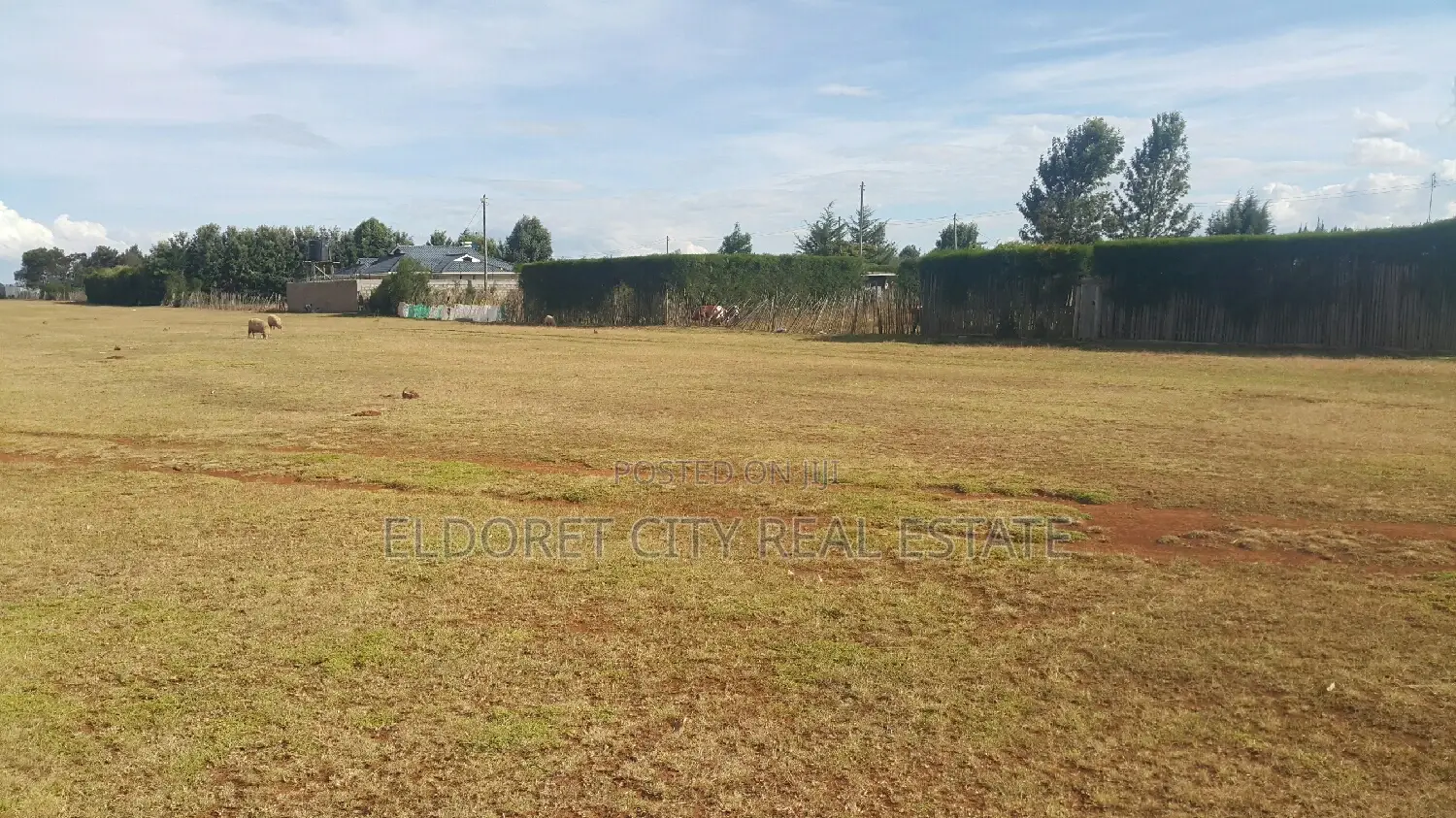 Affordable 1/8 Plot in Kipkorgot - Prime Investment Opportunity! in Eldoret CBD