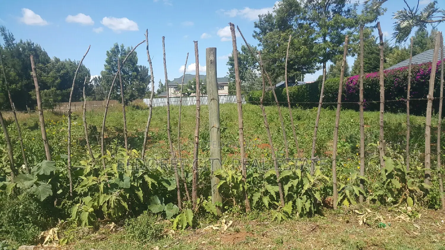 1/2 Acre Property in Getted Community's Elgonview Upper - For Sale in Eldoret CBD