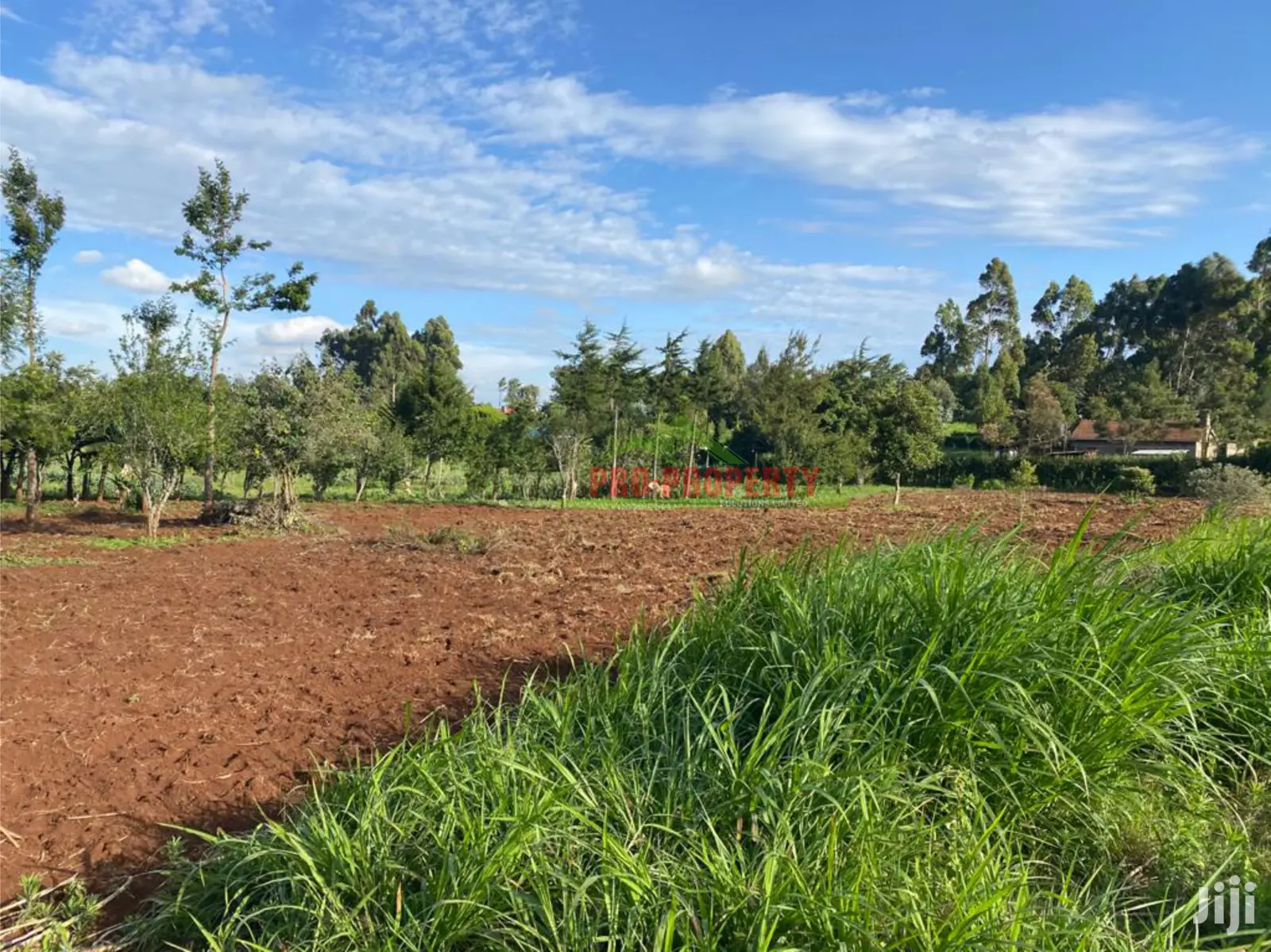 Kamandura, Limuru: Prime Land Parcel for Sale - Perfect for Development in Limuru CBD