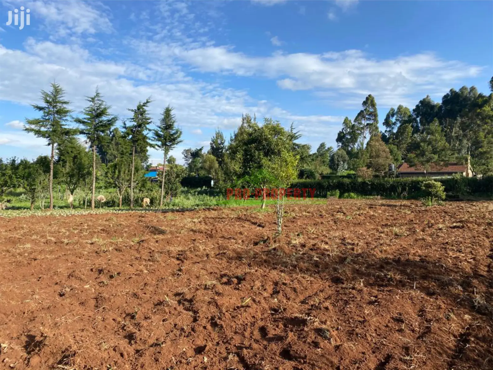 Kamandura, Limuru: Prime Land Parcel for Sale - Perfect for Development in Limuru CBD