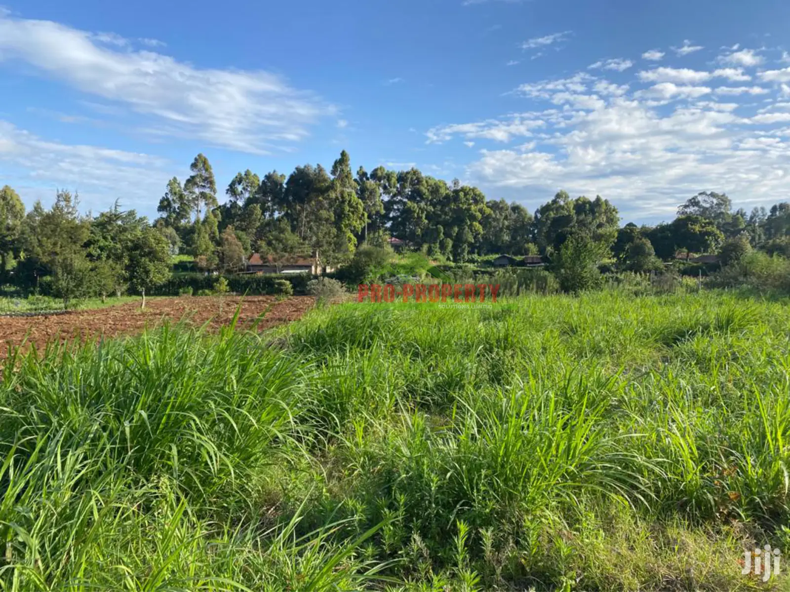 Kamandura, Limuru: Prime Land Parcel for Sale - Perfect for Development in Limuru CBD