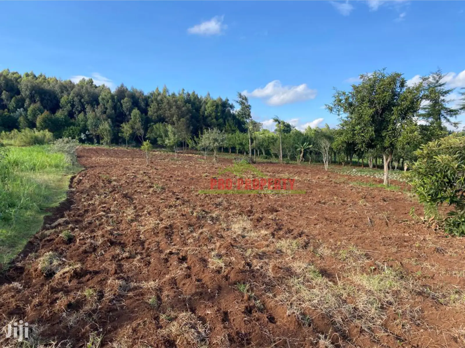 Kamandura, Limuru: Prime Land Parcel for Sale - Perfect for Development in Limuru CBD