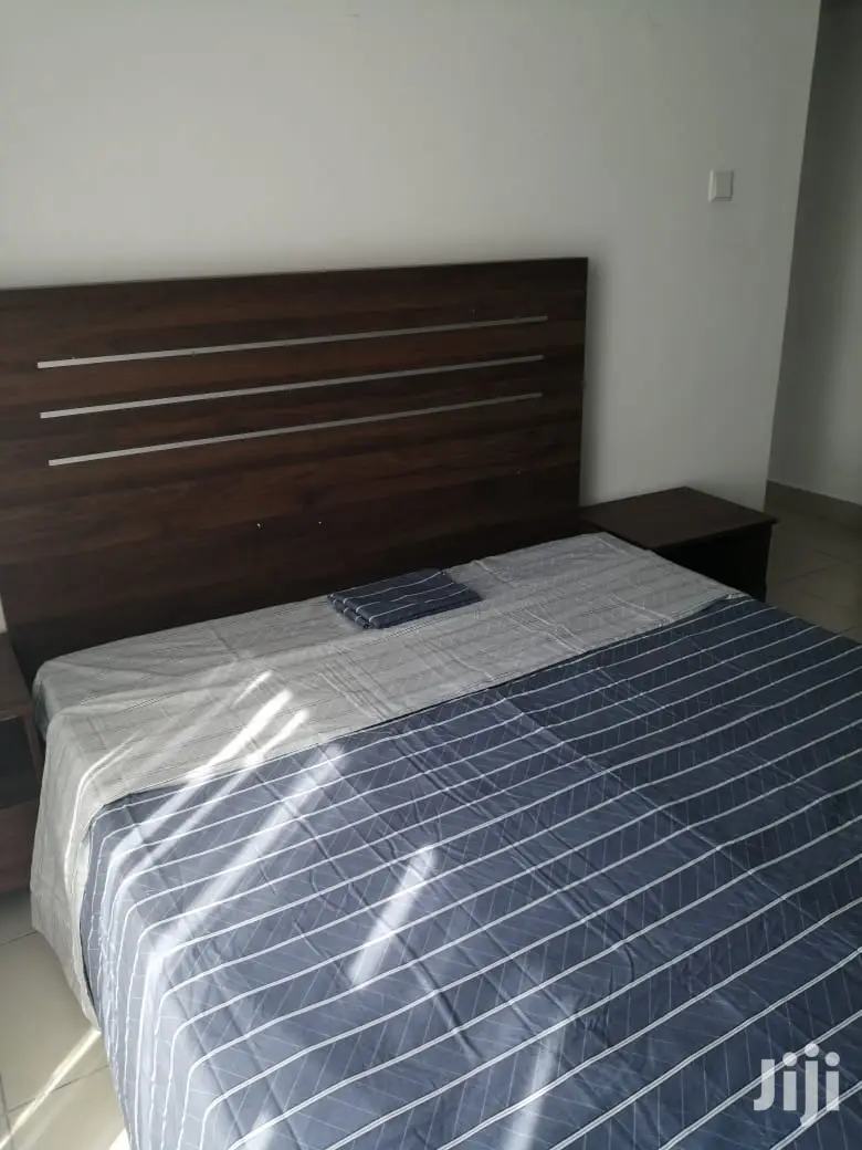 Exactive's 2-Bedroom Apartments for Rent in Pangani in Pangani