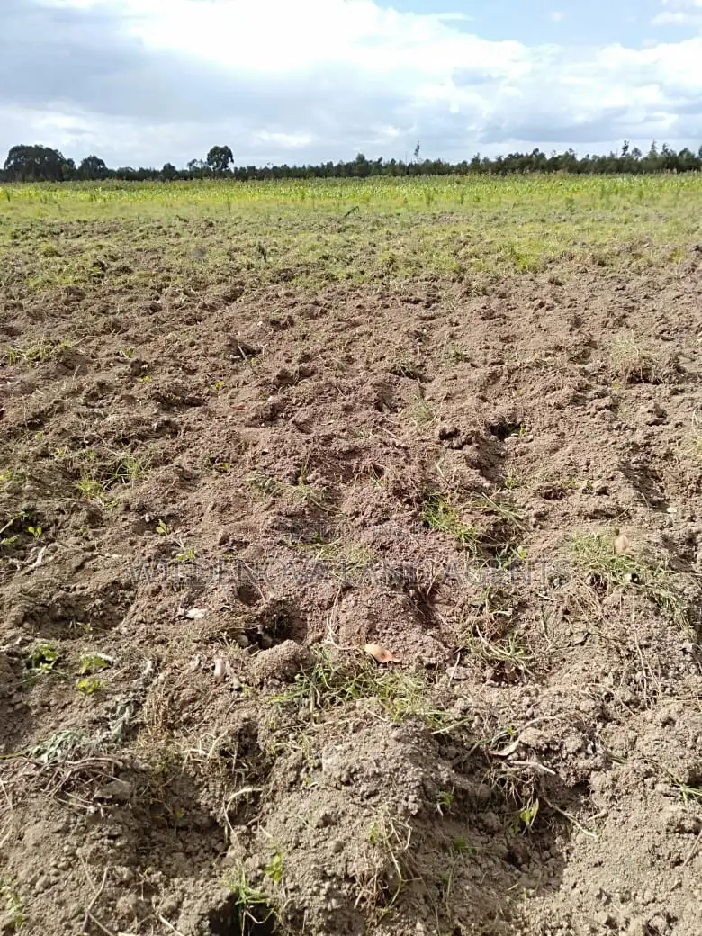 Affordable Land in Munyaka Kinangop For Sale Now in Nairobi Central