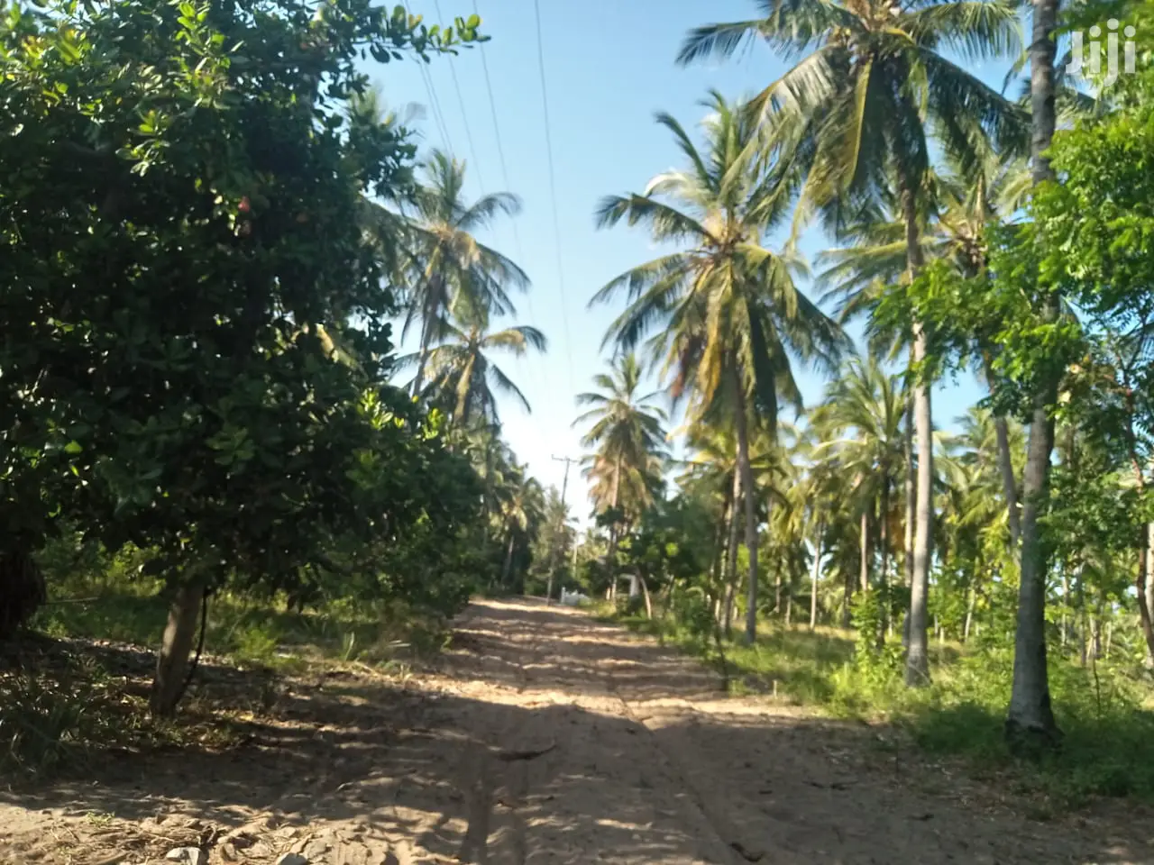 Discover Kilifi: Chumani Beach Plots for Sale - Your Dream Coastal Property in Matsangoni