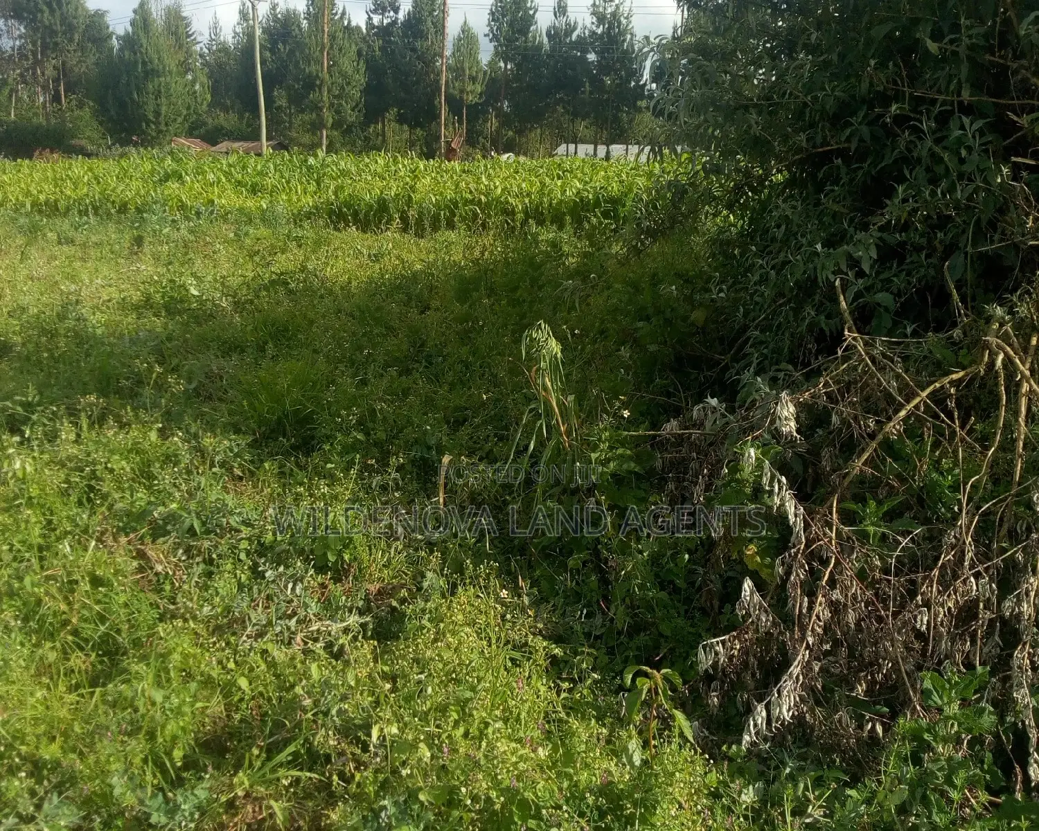 Spacious 2 Acre Plots in Hato Kiambu Kinari - Limited Time Offer in Limuru CBD