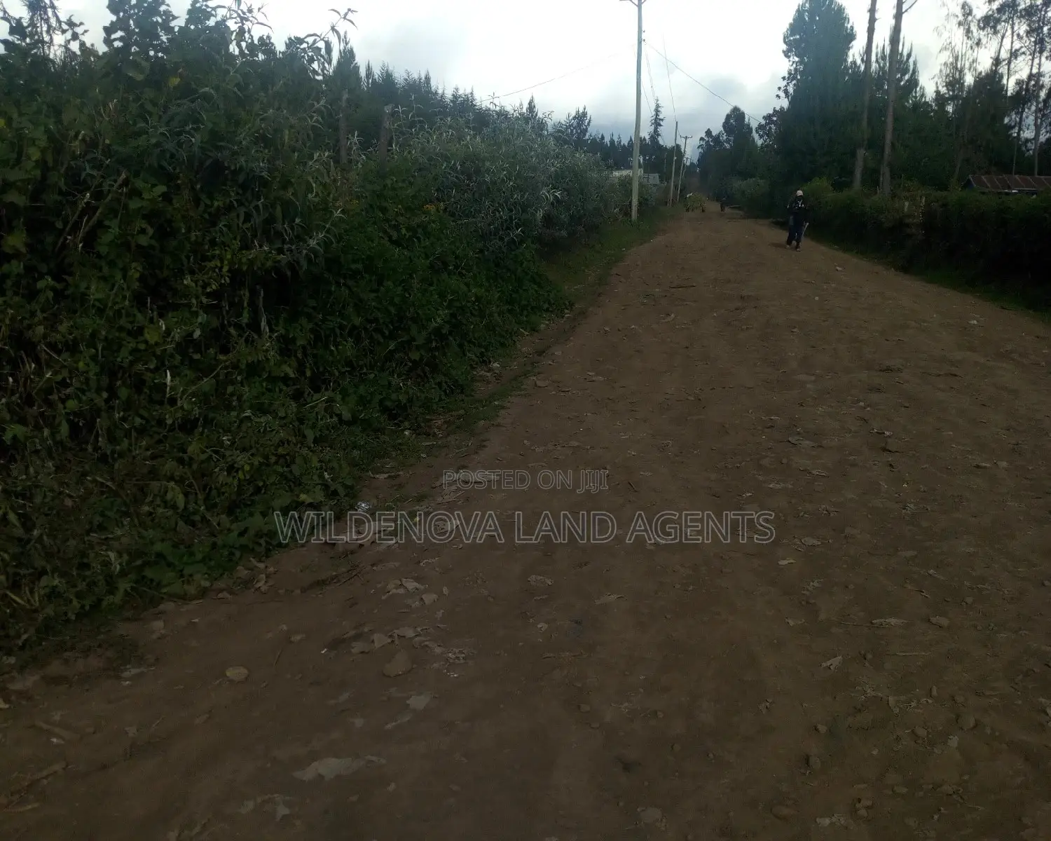 Spacious 2 Acre Plots in Hato Kiambu Kinari - Limited Time Offer in Limuru CBD