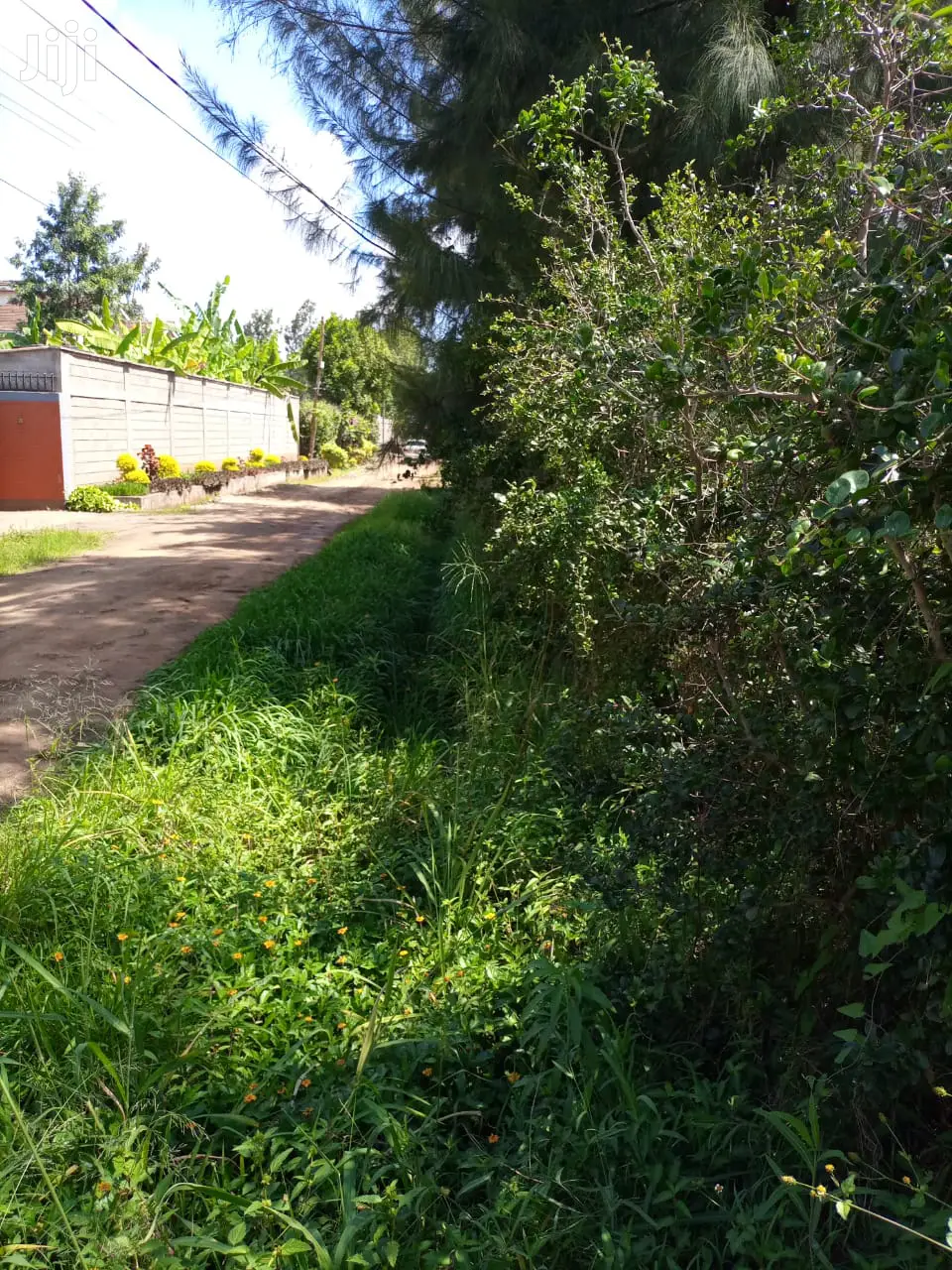 1/2 Acre Land Prime Property in Thome Offered in Ridgeways