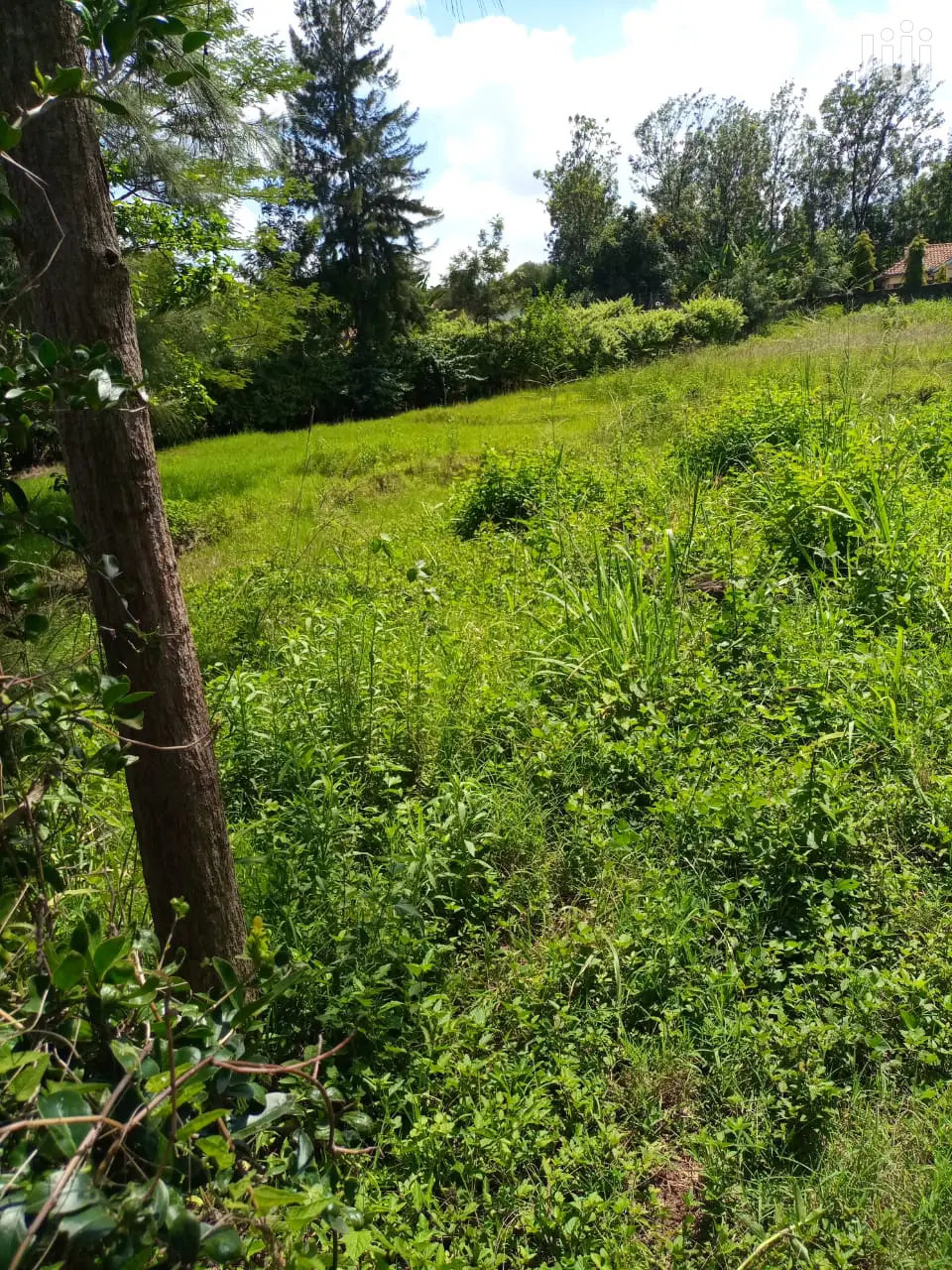 1/2 Acre Land Prime Property in Thome Offered in Ridgeways
