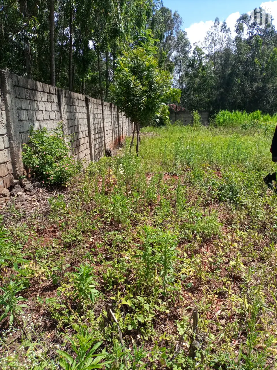 1/2 Acre Land Prime Property in Thome Offered in Ridgeways