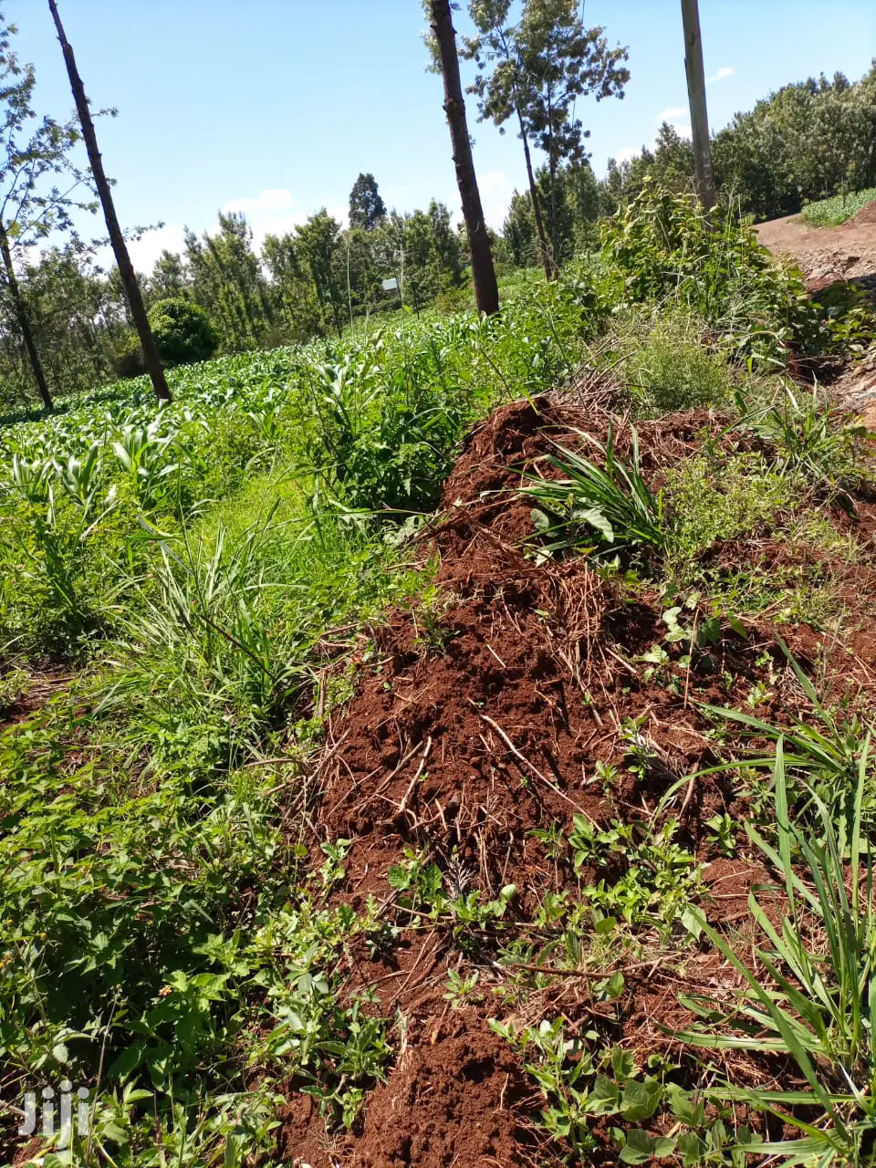 2.25 Acre Land at Maryhill School Available for Purchase in Makadara (Msa)