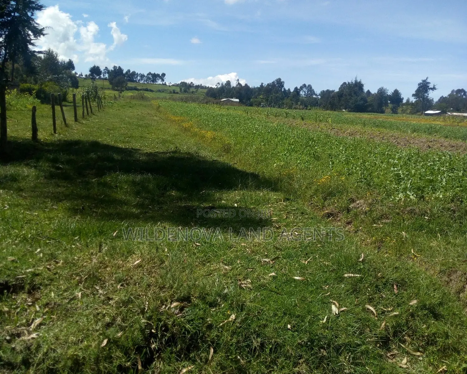 Dream Land in Heni Kinangop: Affordable, Spacious, and Ready for You! in Magumu