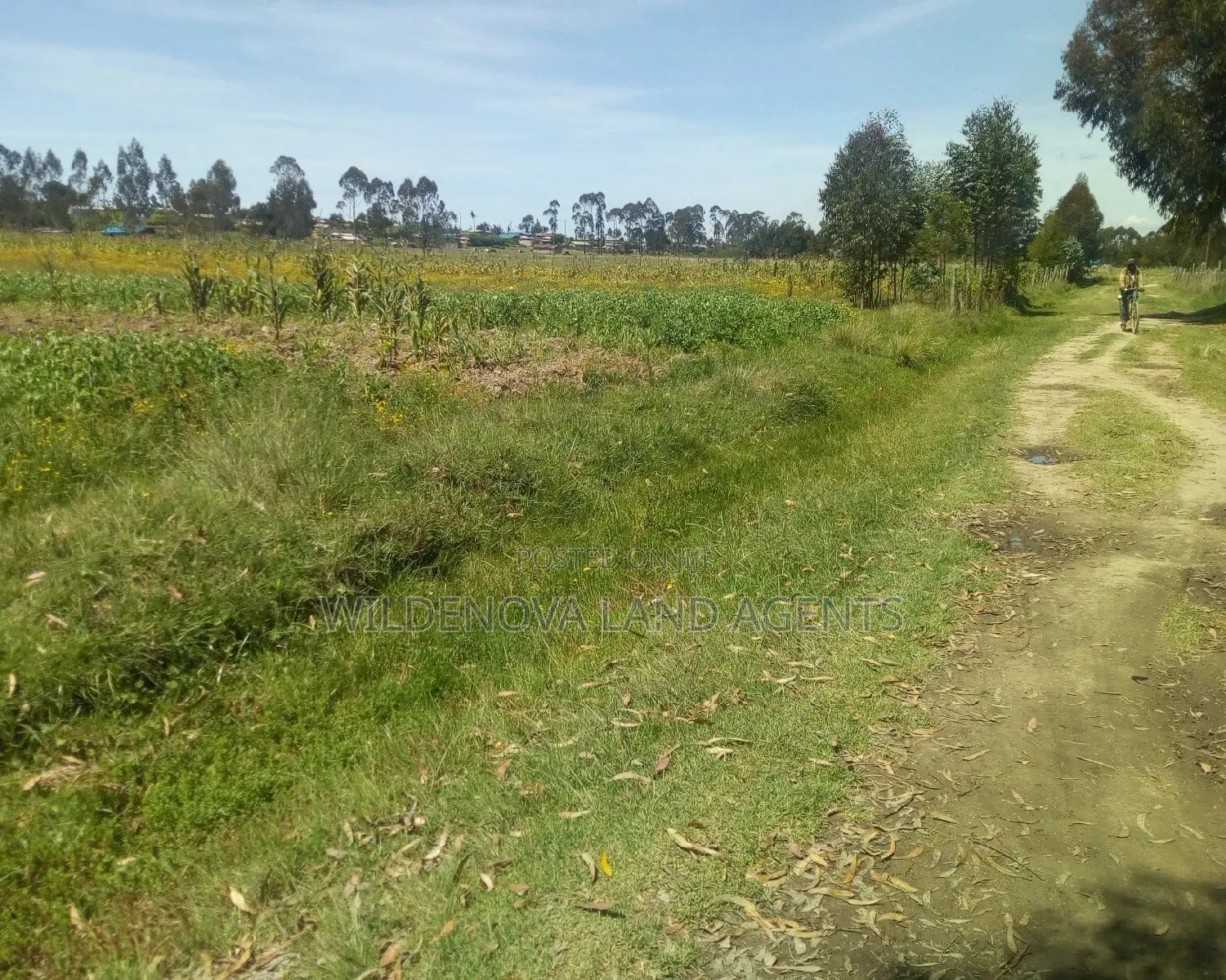 Dream Land in Heni Kinangop: Affordable, Spacious, and Ready for You! in Magumu